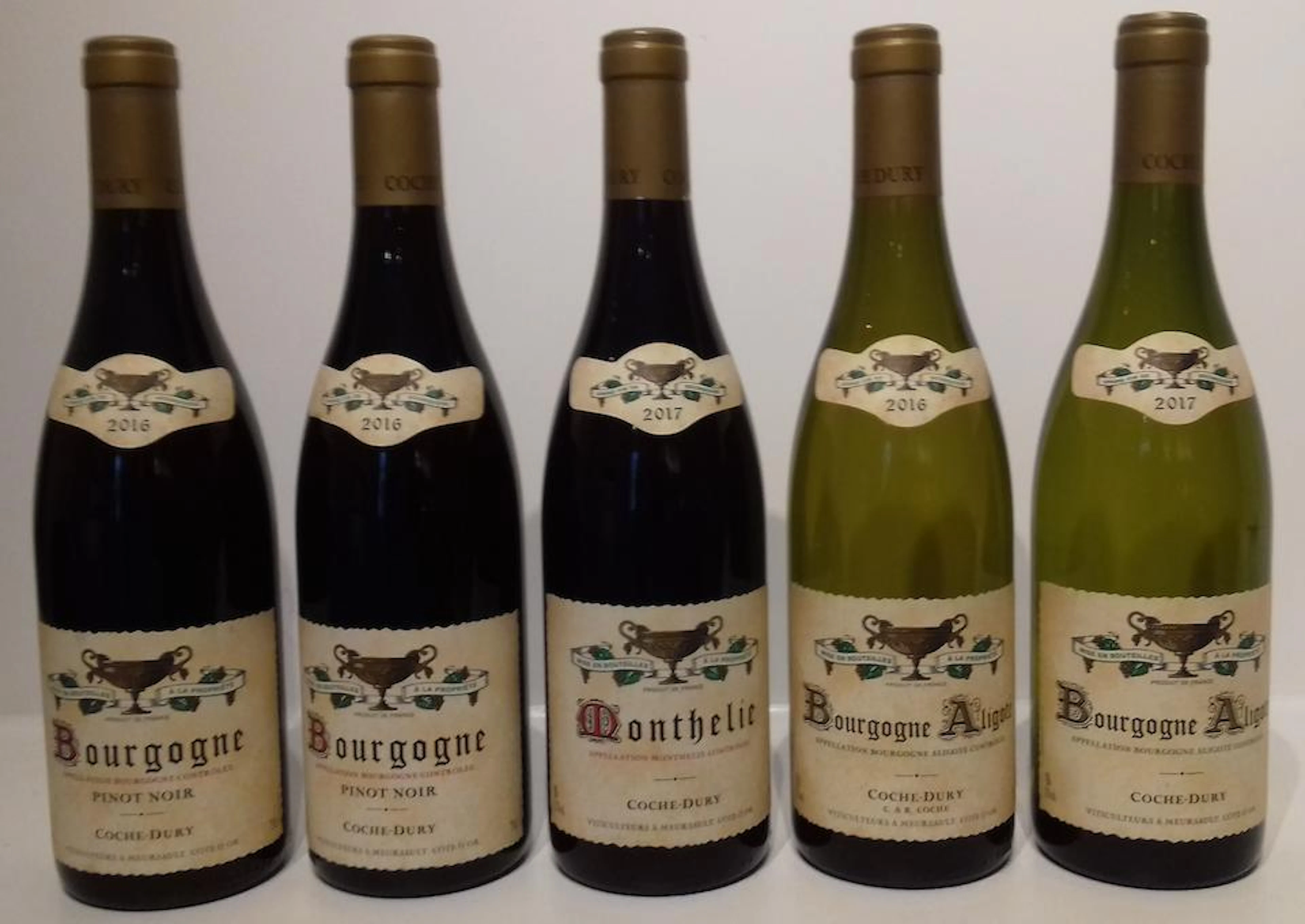 Bourgogne Pinot Noir 2016