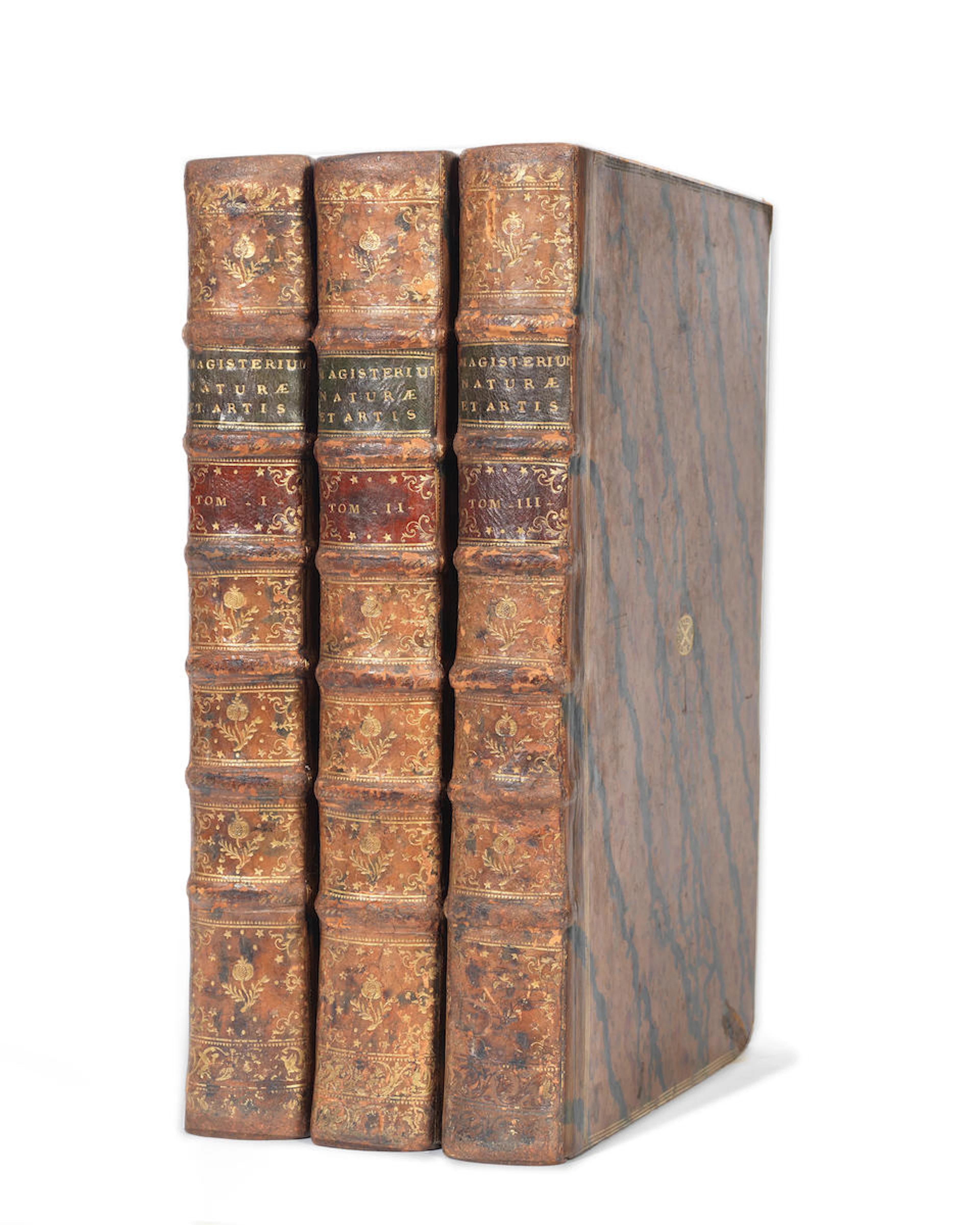 LANA TERZI (FRANCESCO) Magisterium naturae