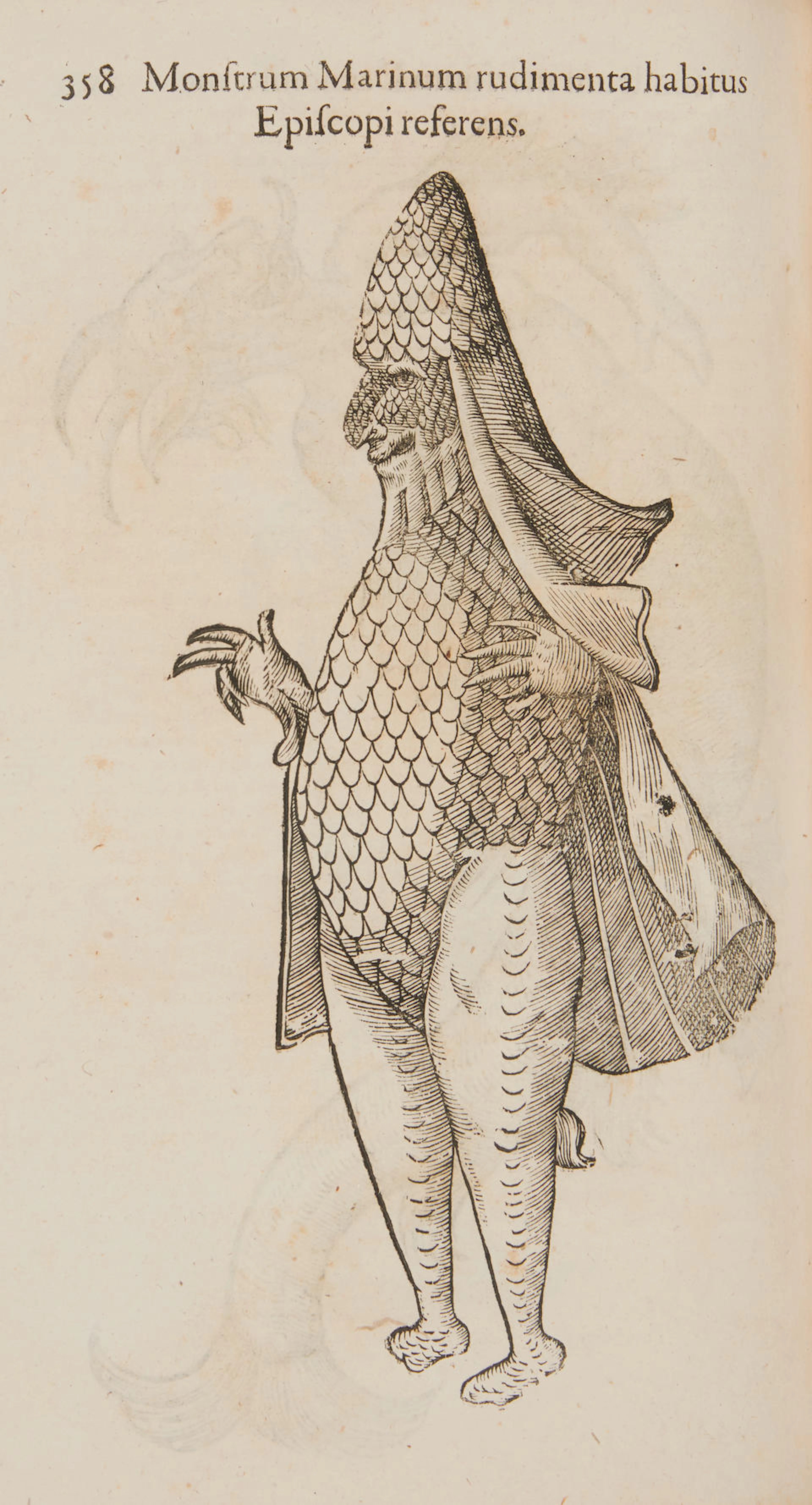 ALDROVANDI