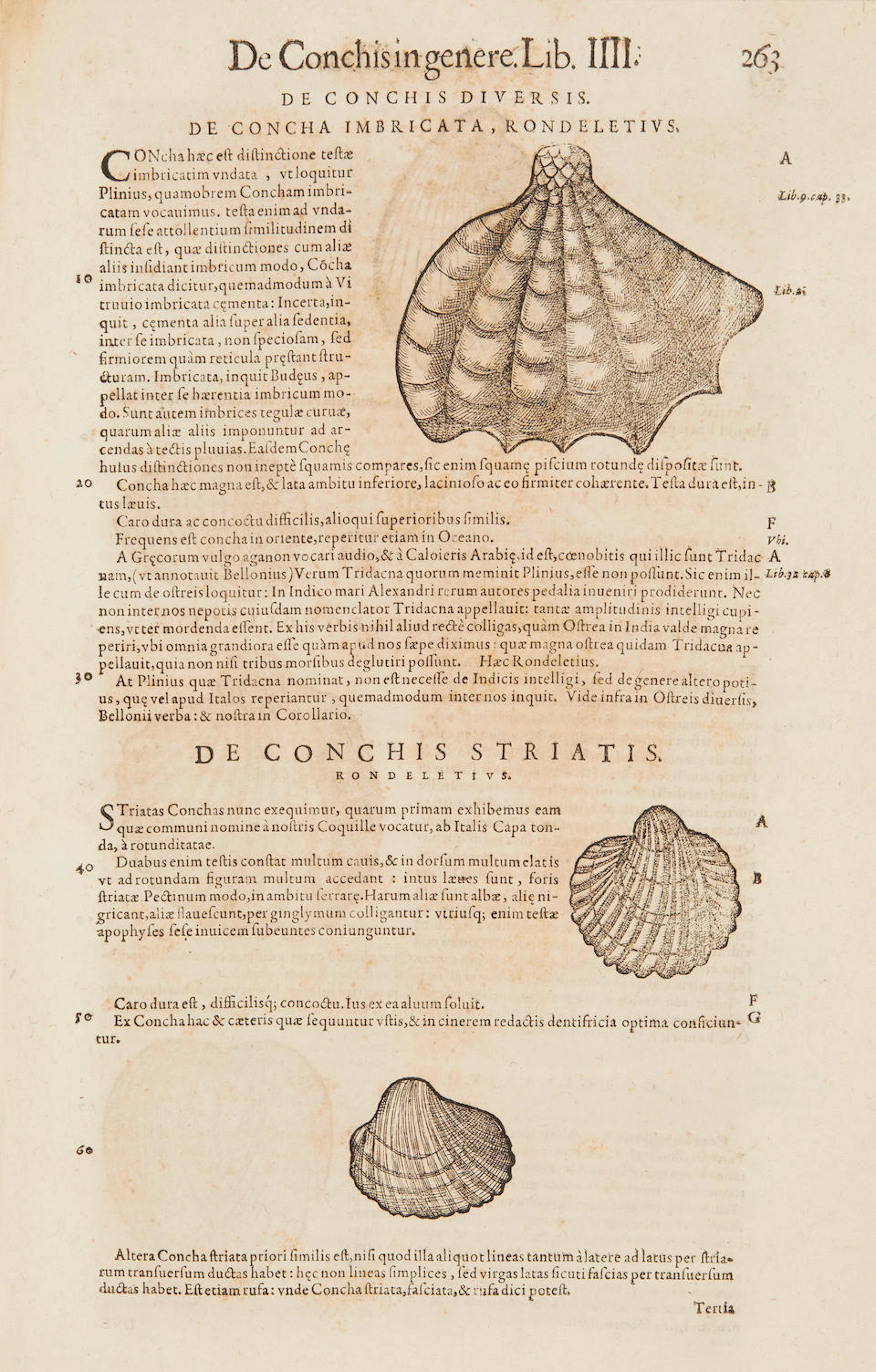 GESNER, CONRAD
