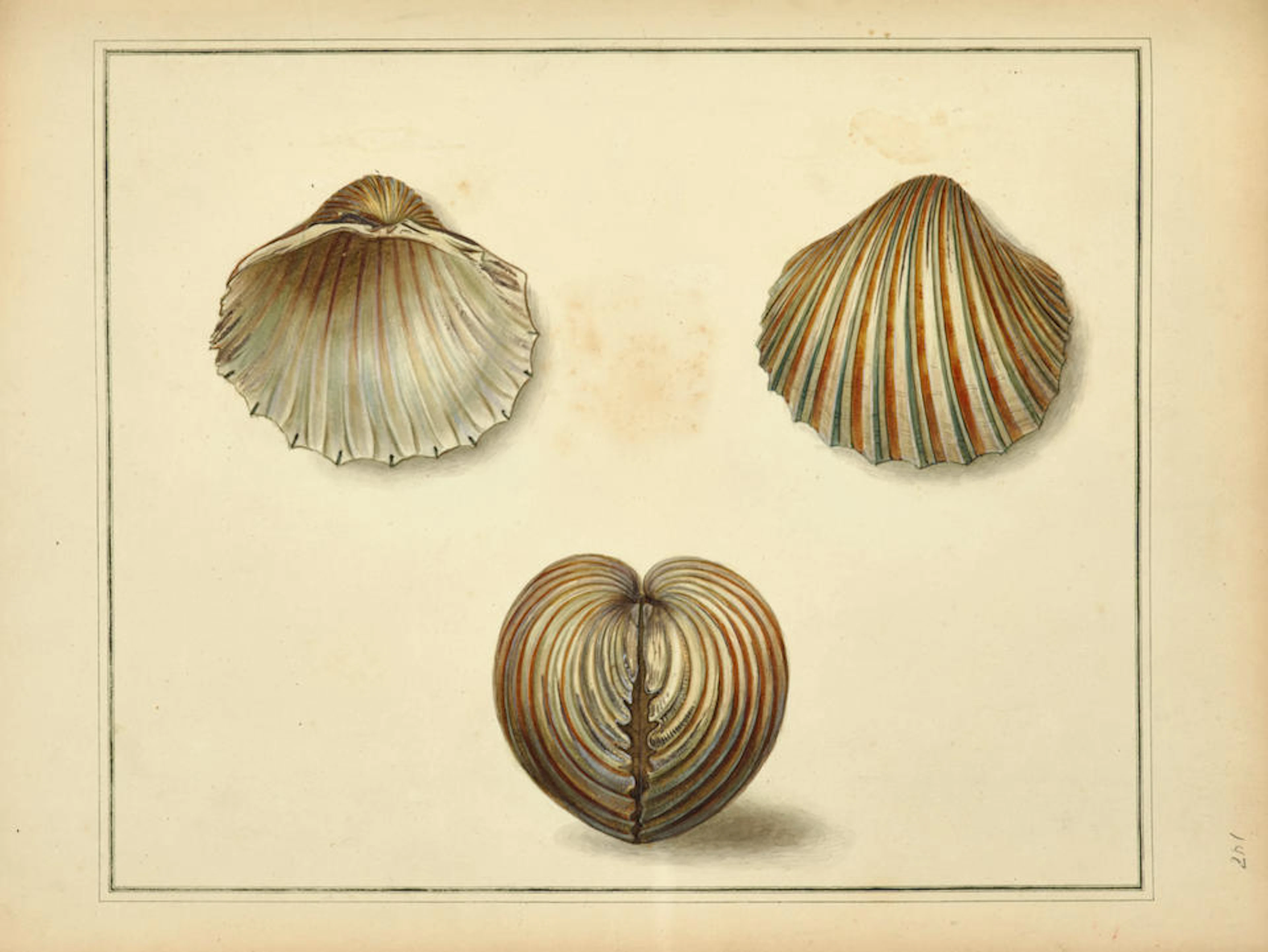 MARTYN, THOMAS 1760-1816