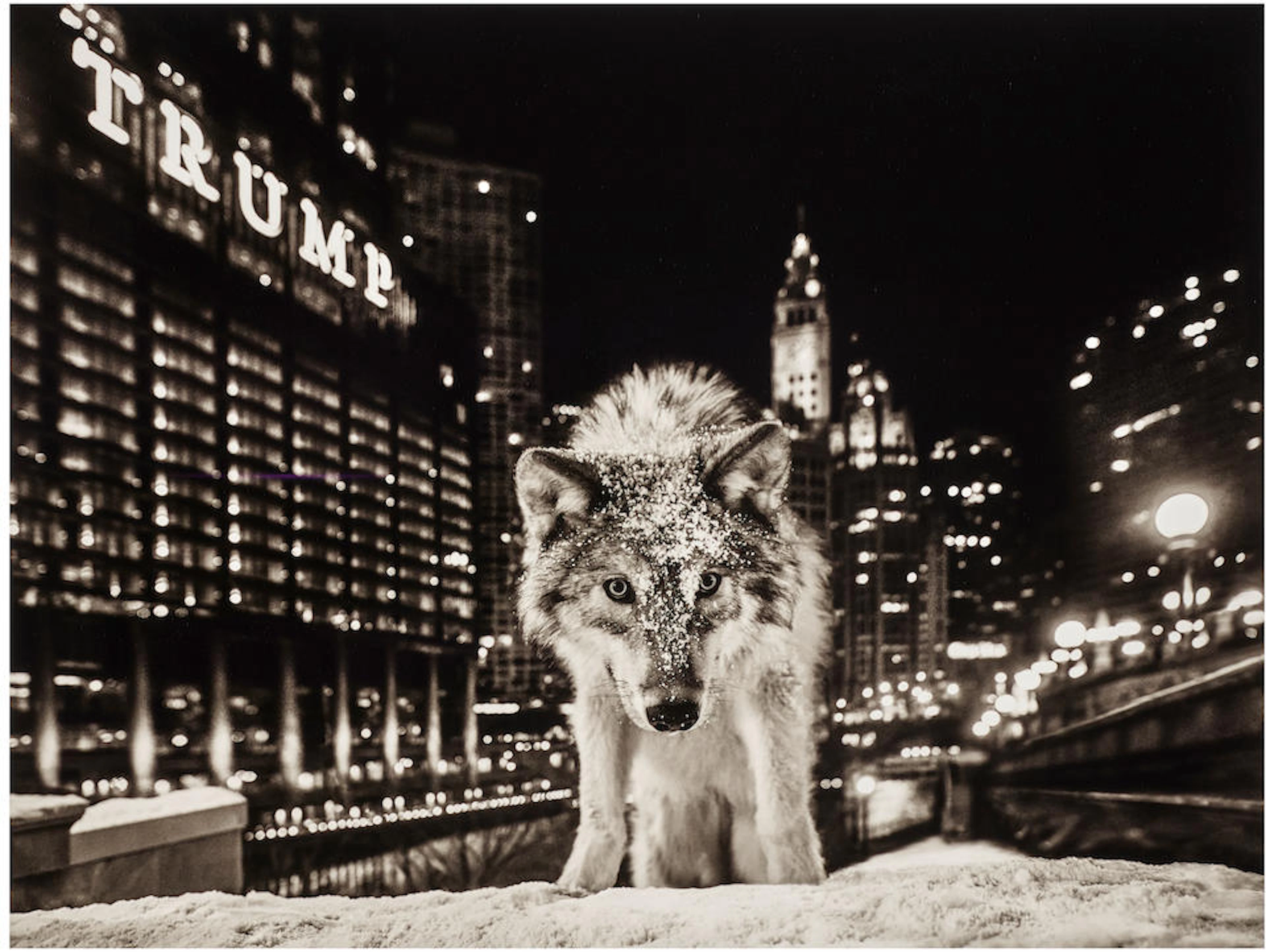 David Yarrow (born 1966); It Is Only A Matter of Time 2;