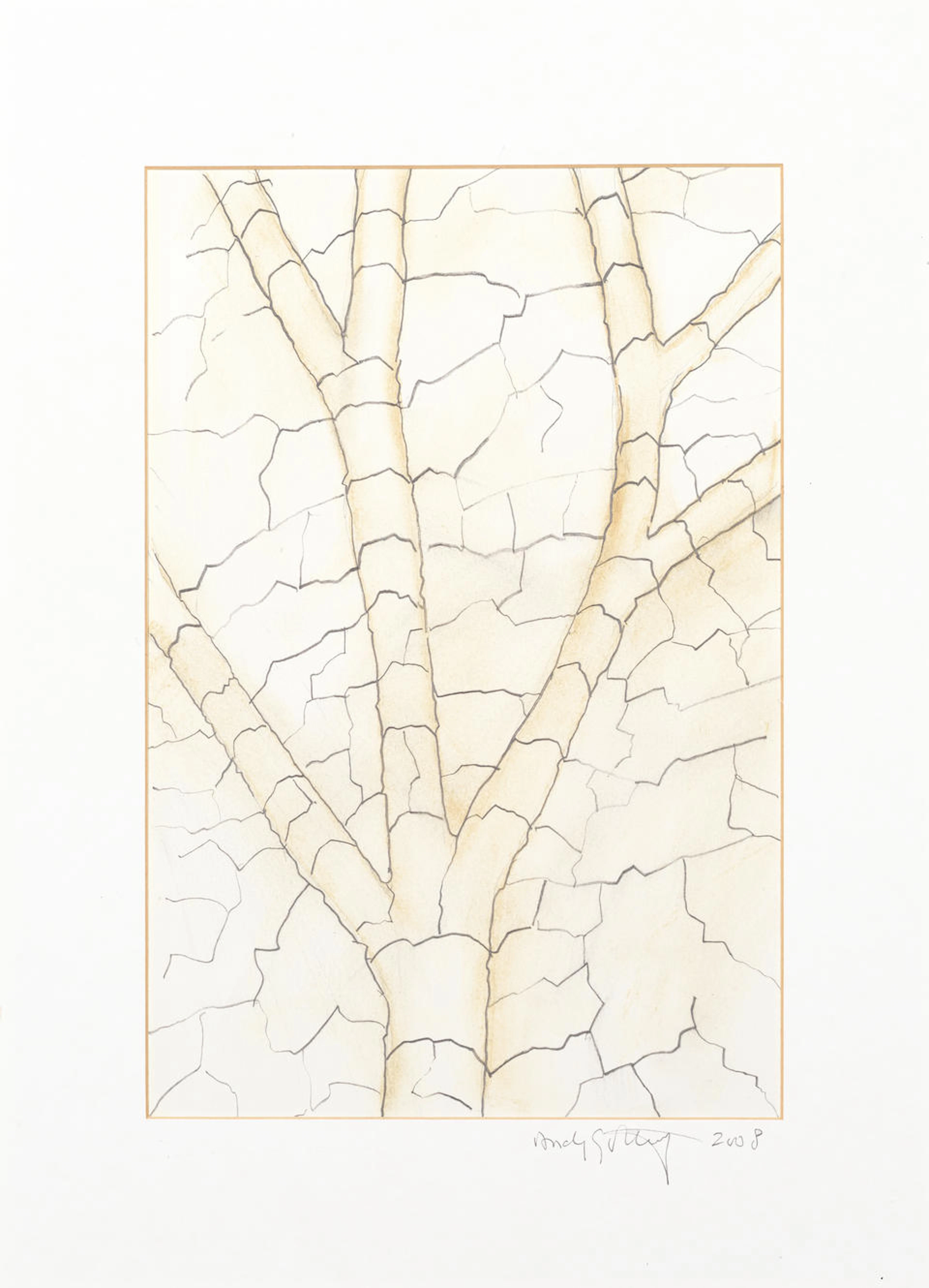 Andy Goldsworthy (British