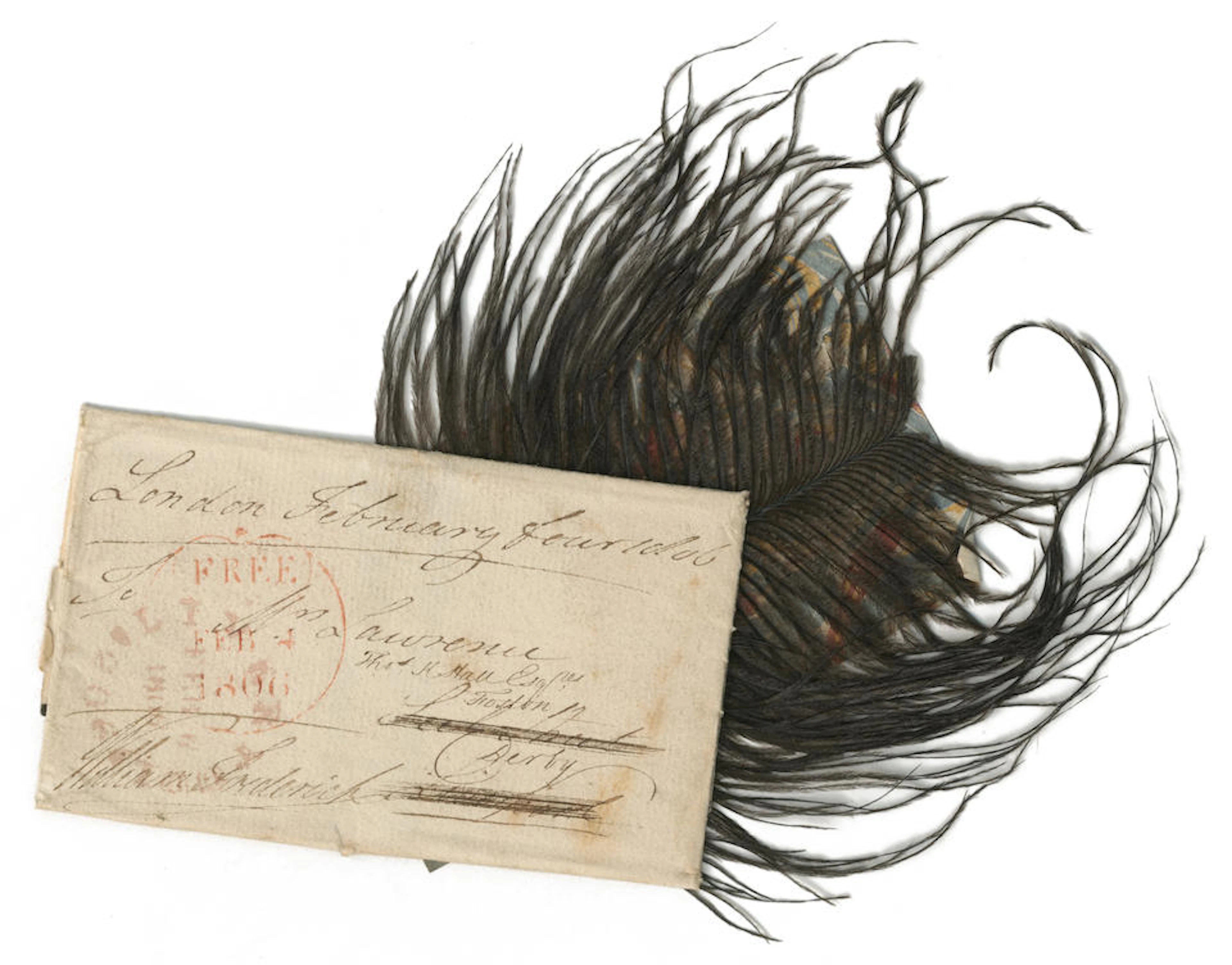 NELSON'S FUNERAL A black ostrich feather pinned to a piece of marbled card