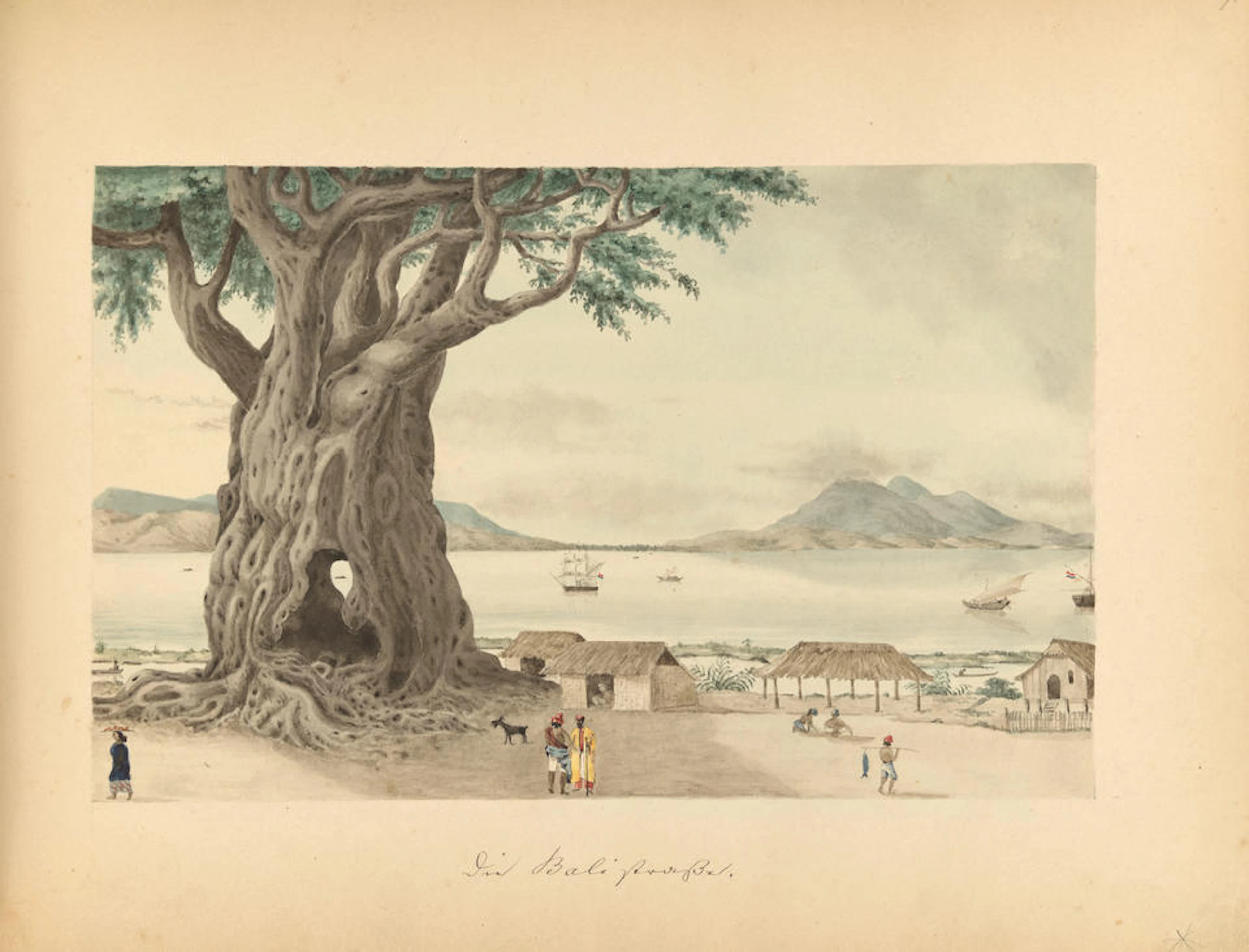 HAECKEL, ERNST