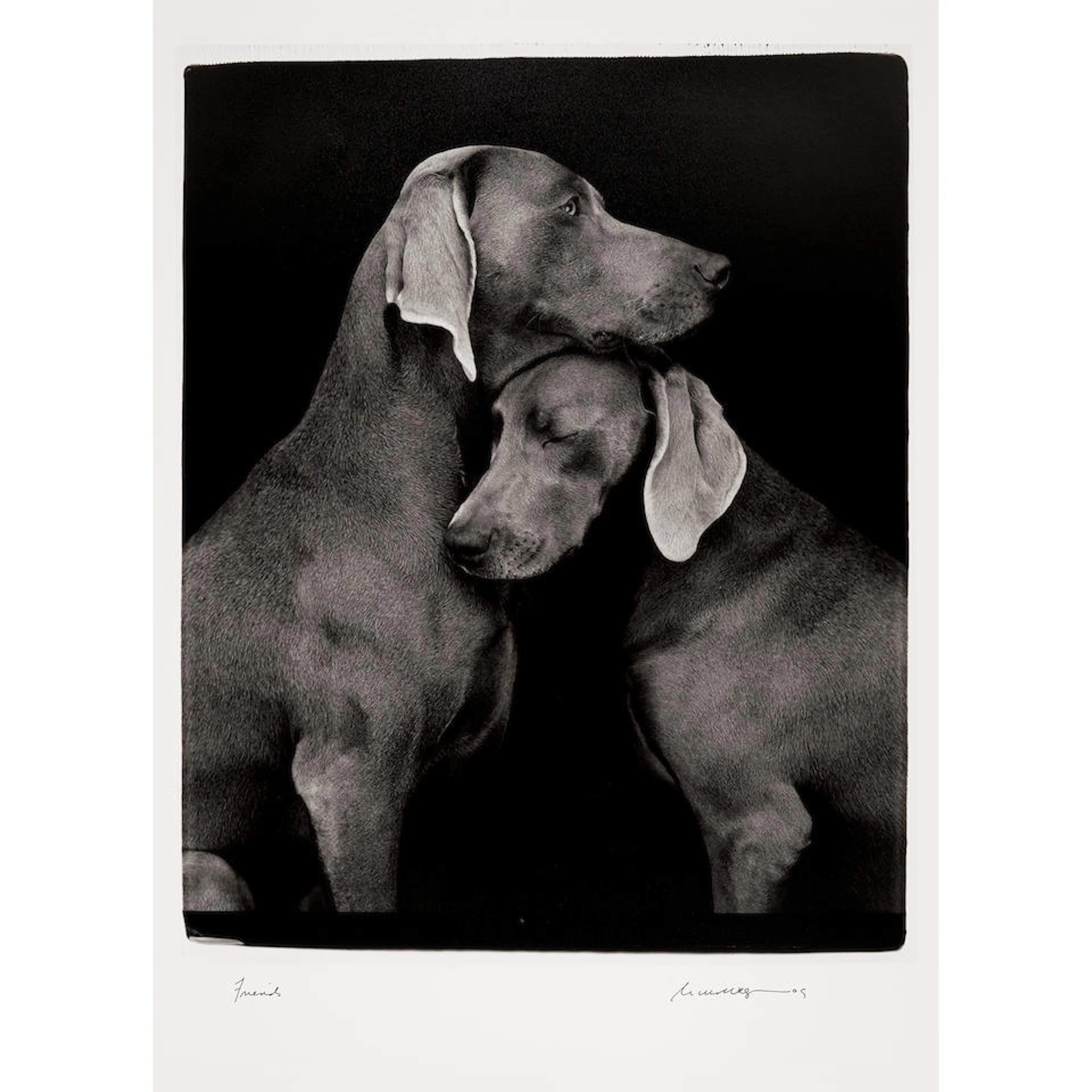William Wegman (born 1943); Friends;