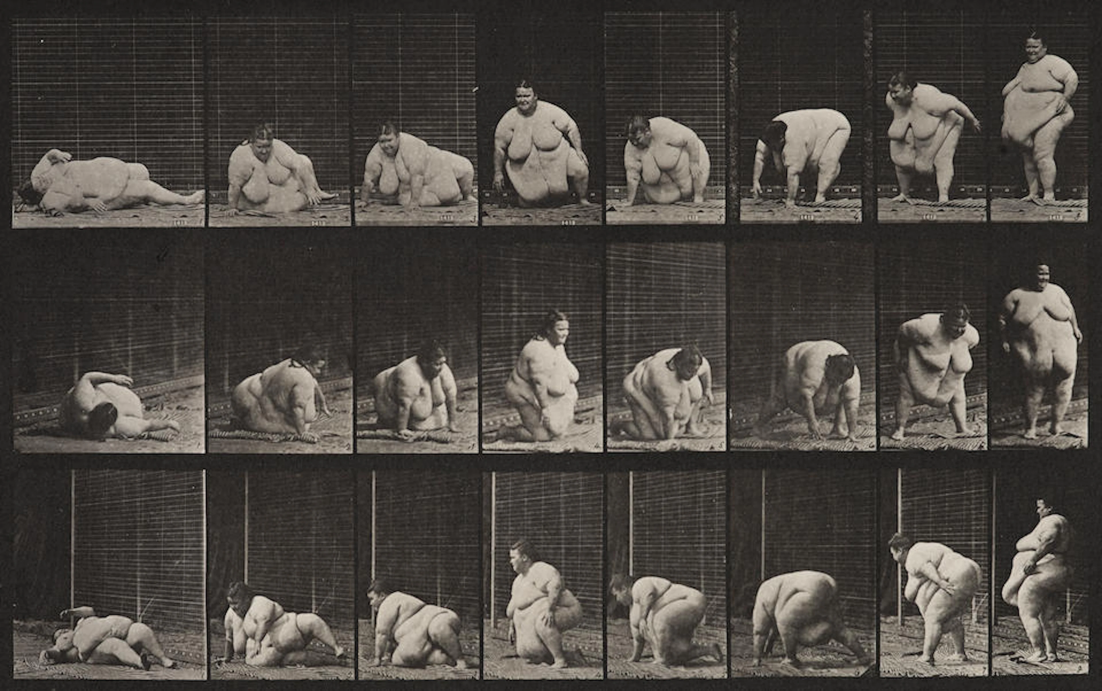 Eadweard Muybridge (1830-1904); Plate 268 from "Animal Locomotion";