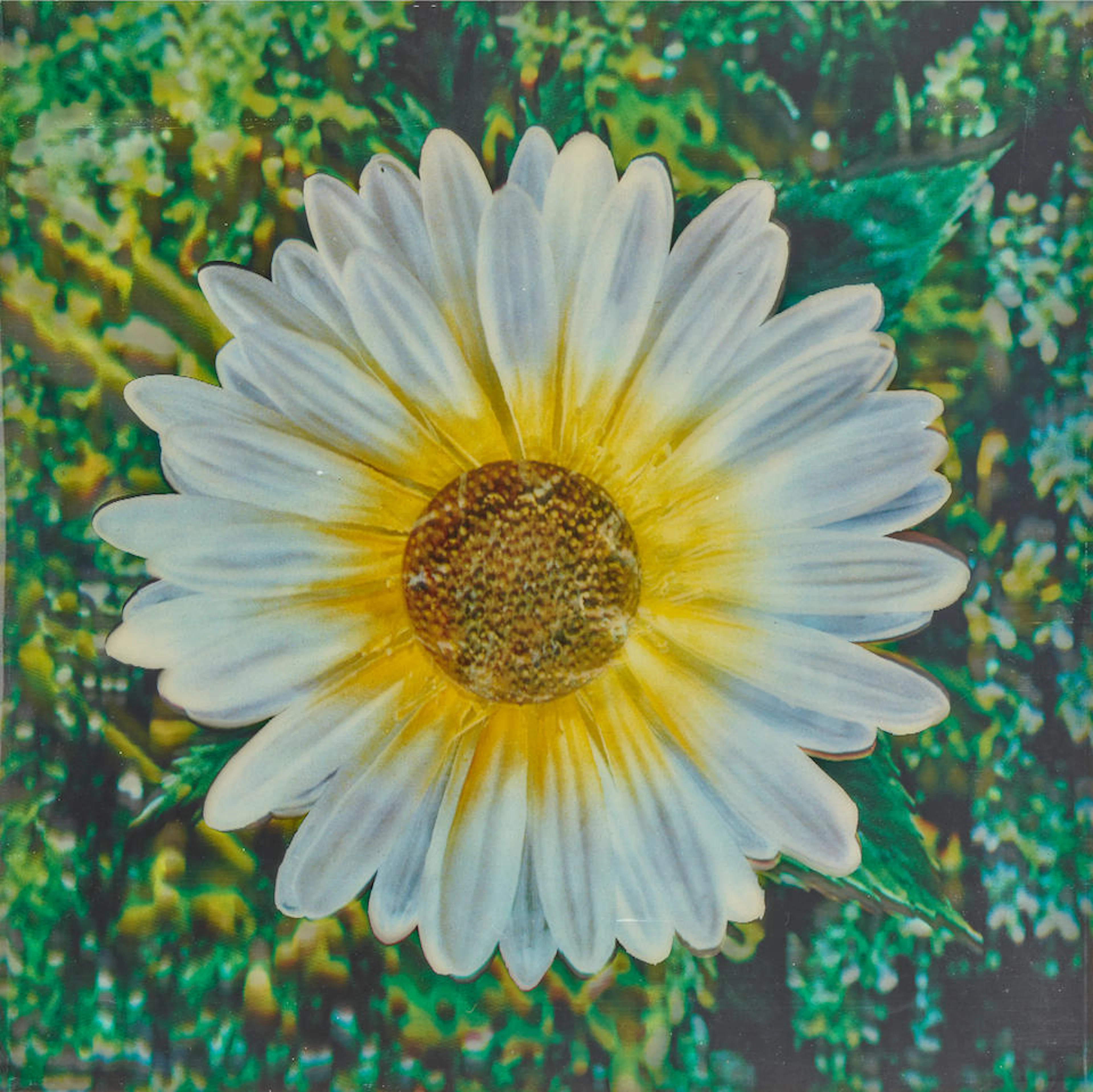 Andy Warhol (1928-1987); Untitled, from Rain Machine (Daisy Waterfall);