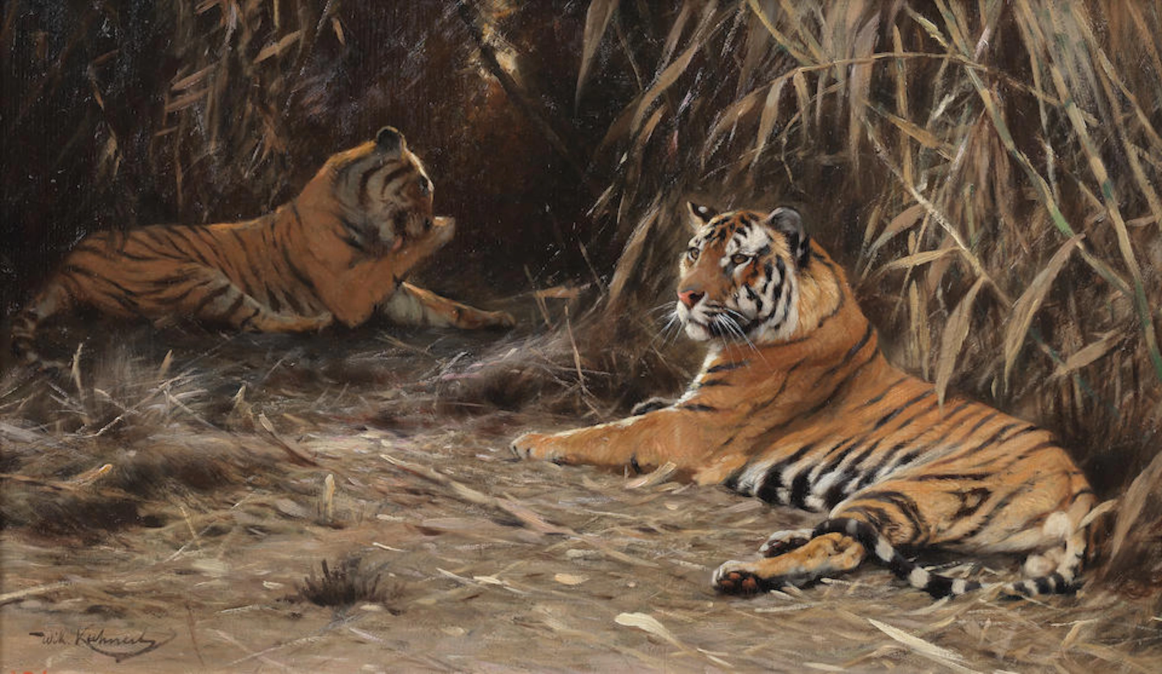Wilhelm Friedrich Kuhnert (German, 1865-1926) In the Jungle - Tigers