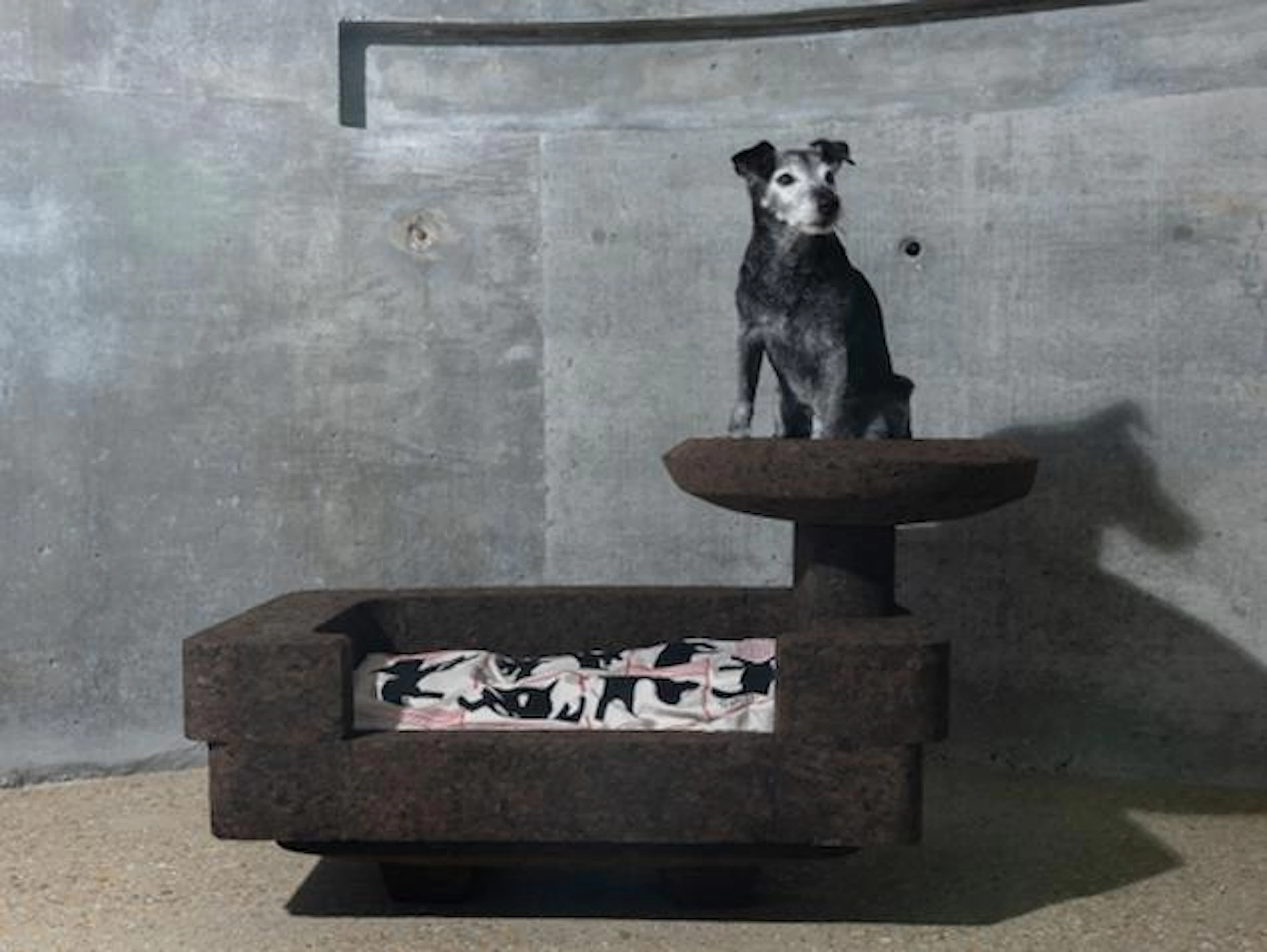 Le Cork et Modular Dog by Lincoln Miles Architecture