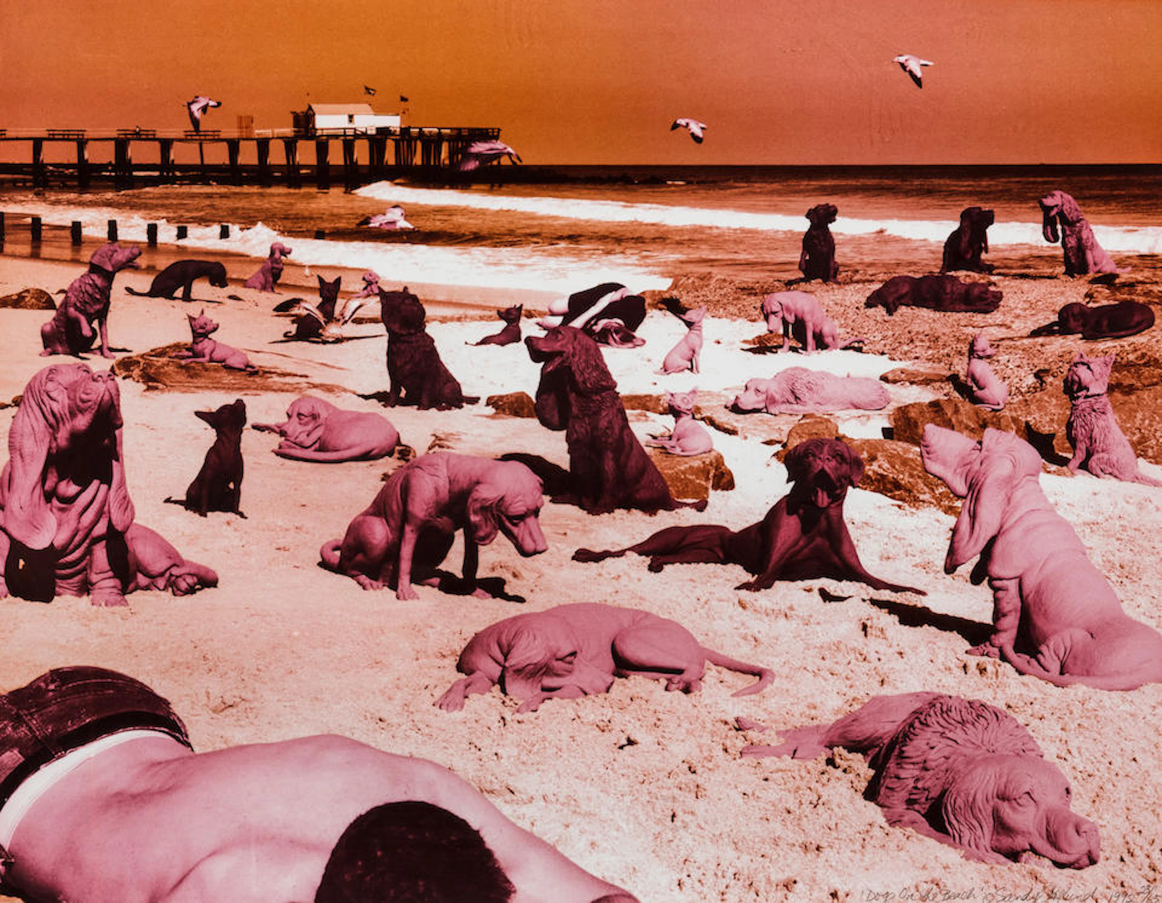 Sandy Skoglund (born 1946); Dogs on the Beach;