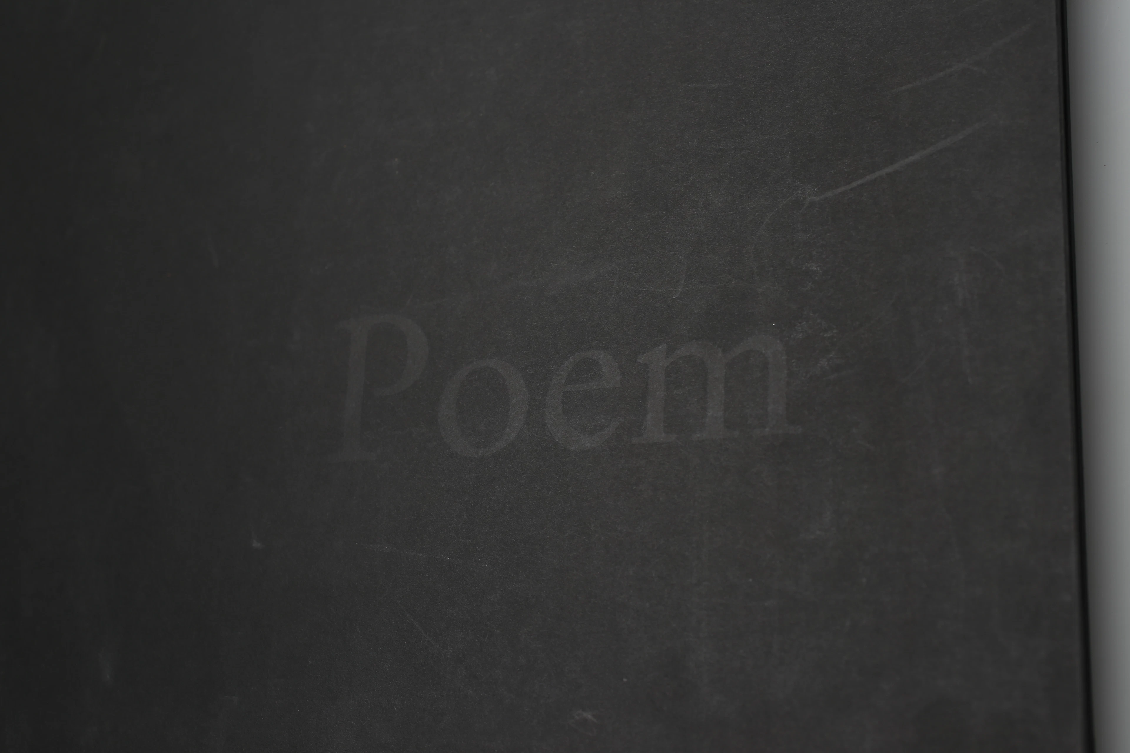 BUCH, "POEM" Ein Buch zum Film von Ralf Schmerberg.