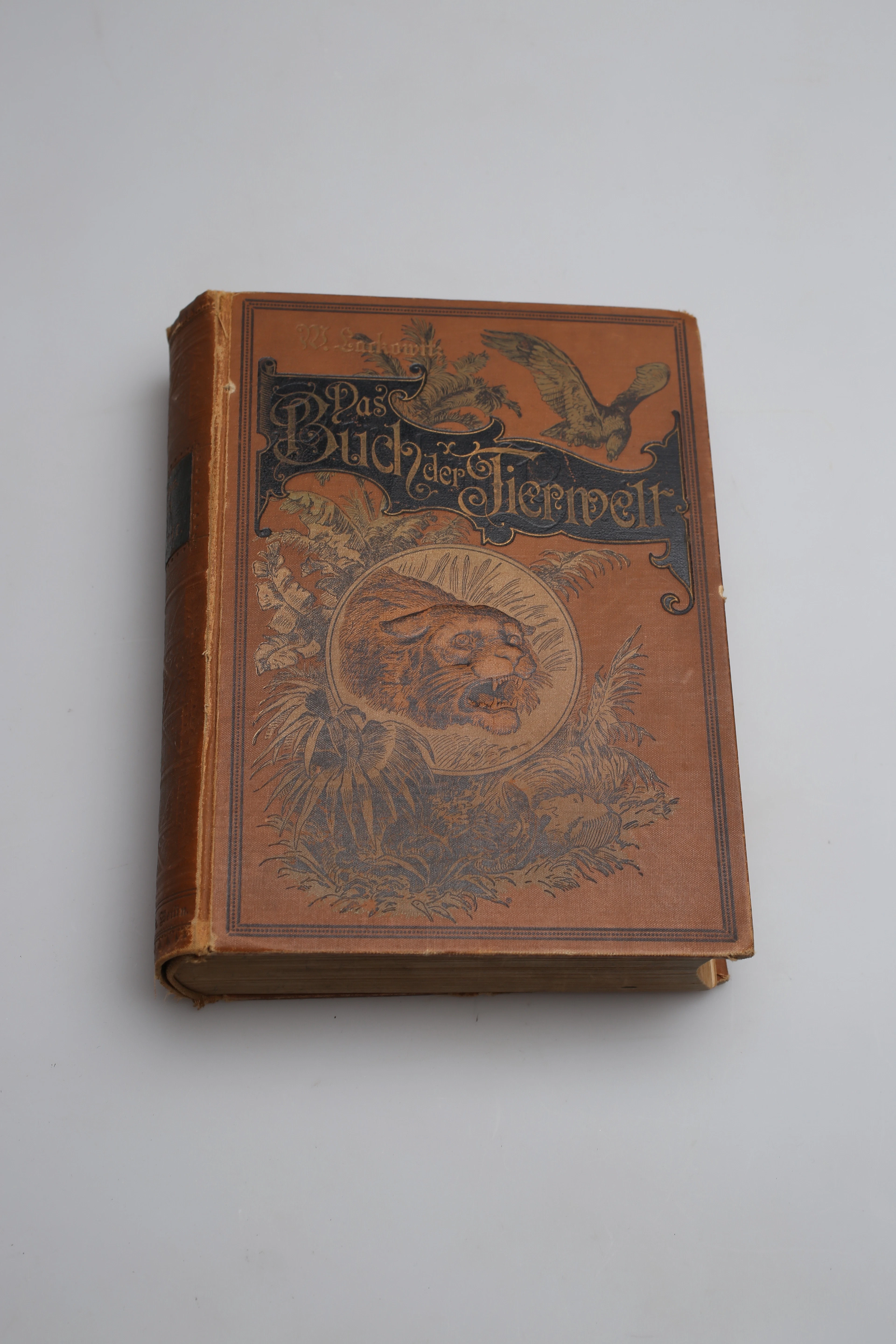 DAS BUCH DER TIERWELT, W. Lackowitz.