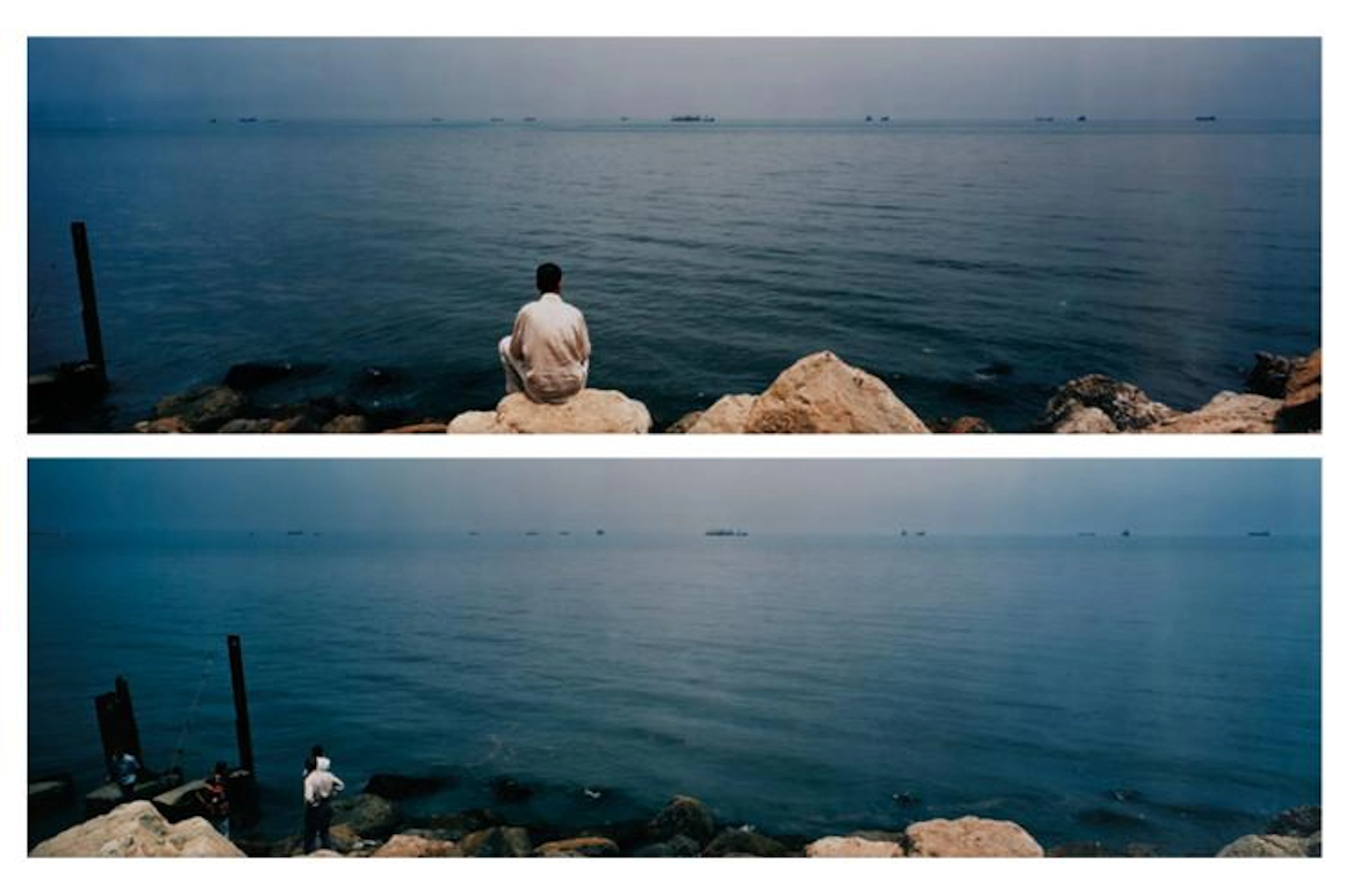 Transitional Landscape I and II, diptych