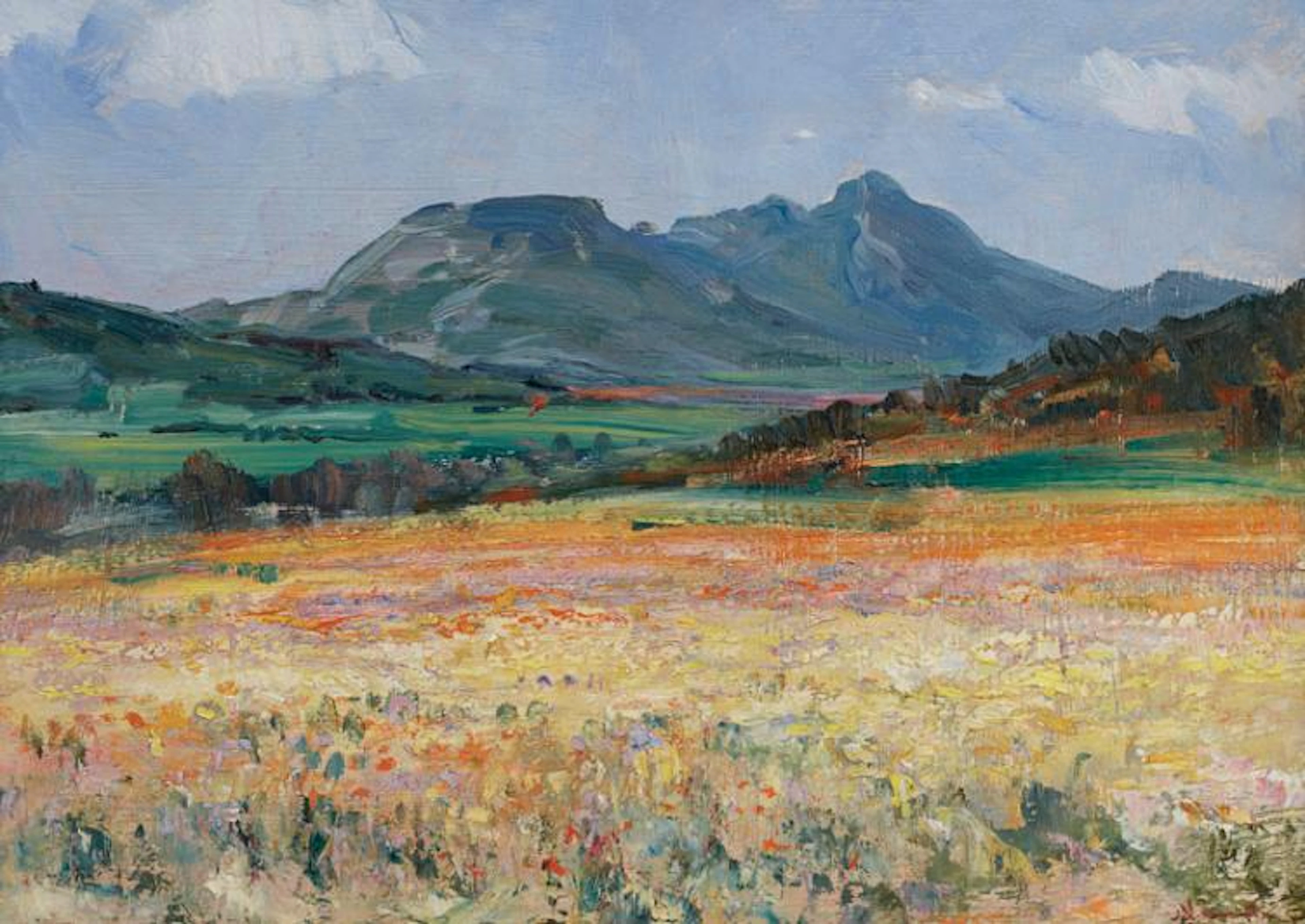 Namaqualand in Spring