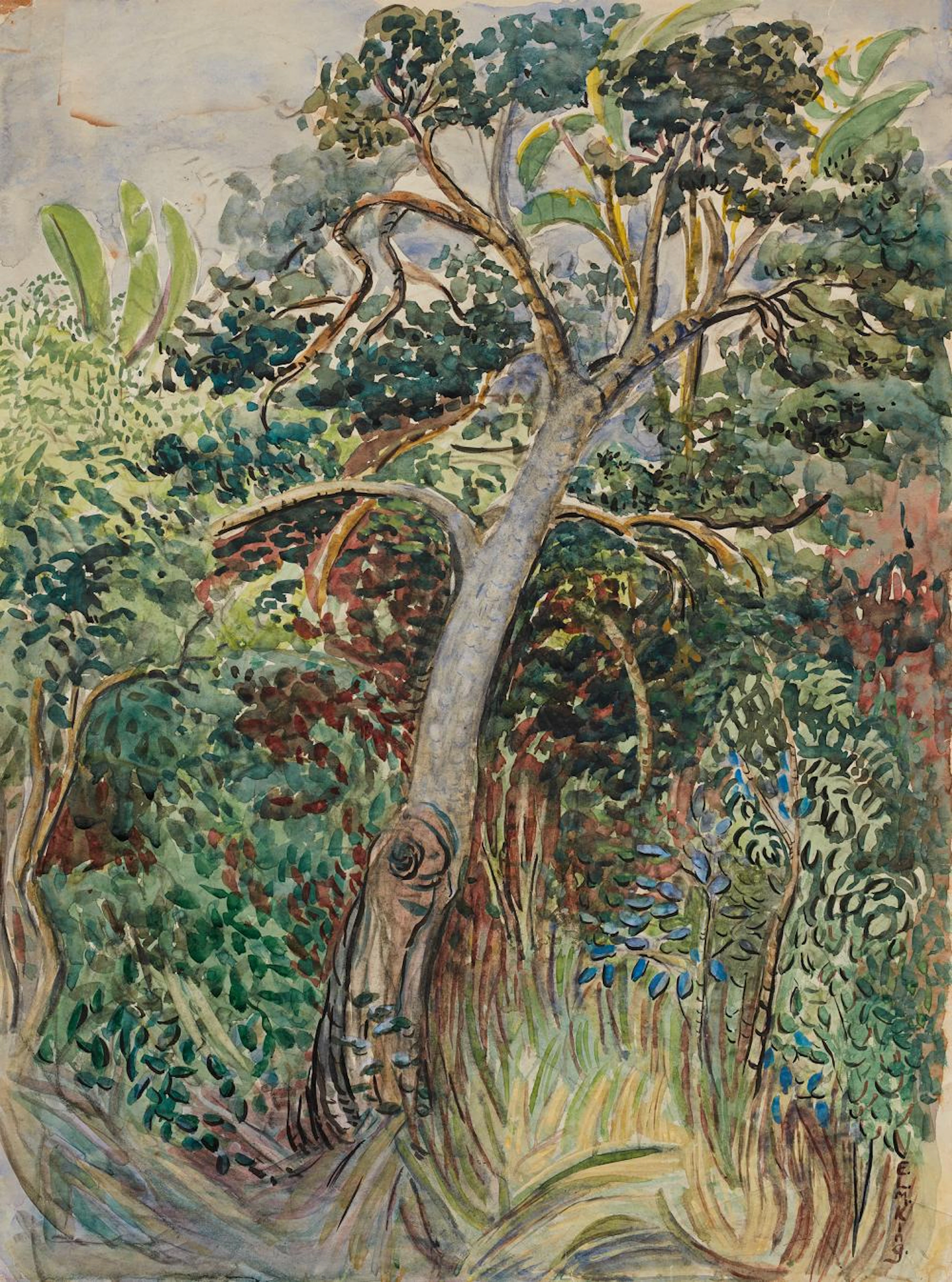 Edith King, Indigenous Tree Near Sea