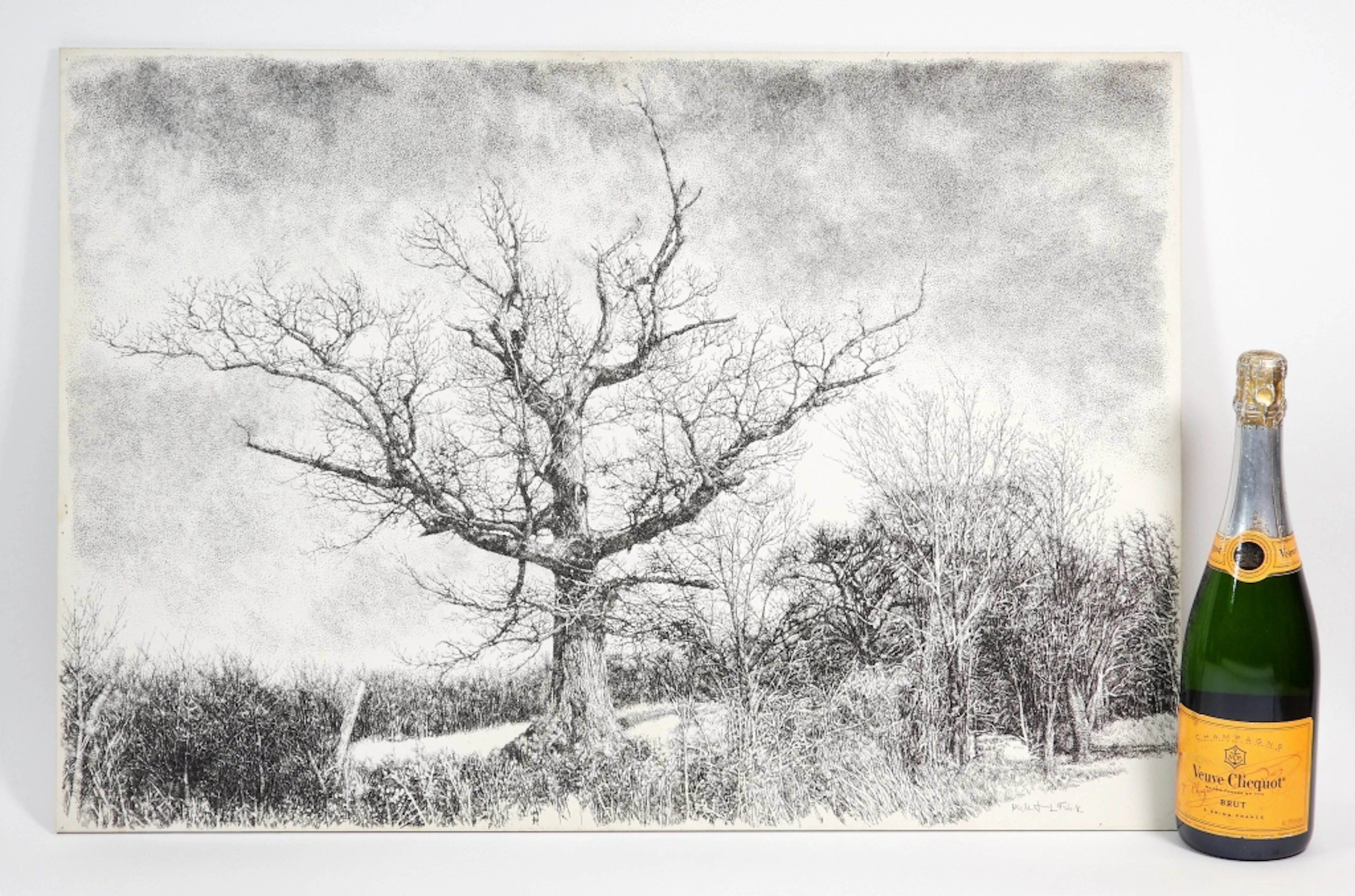 Herbert Lewis Fink Winter Forest Ink Drawing - Herbert Lewis Fink