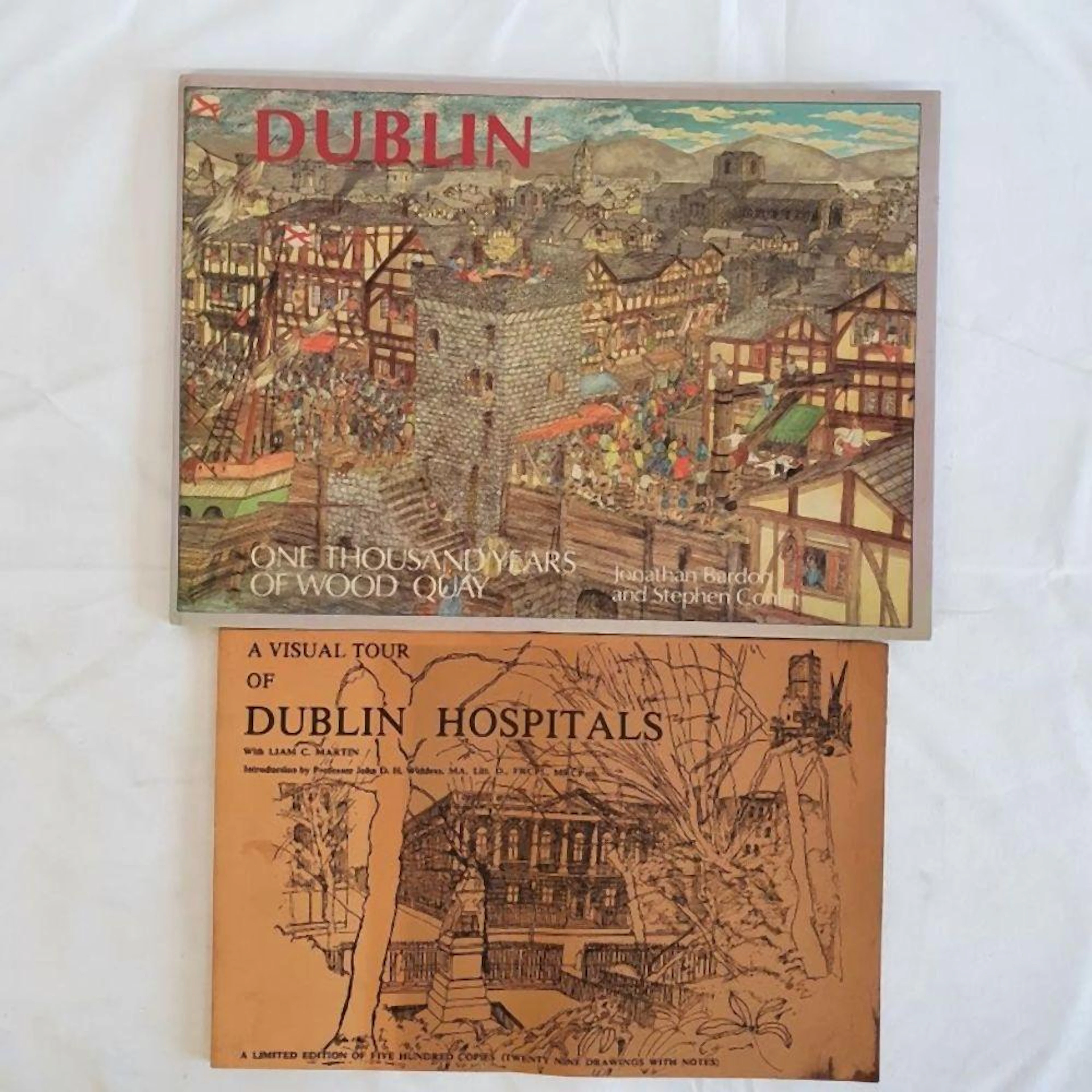 Dublin: A Virtual Tour of Dublin Hospitals (twenty nine drawings with notes