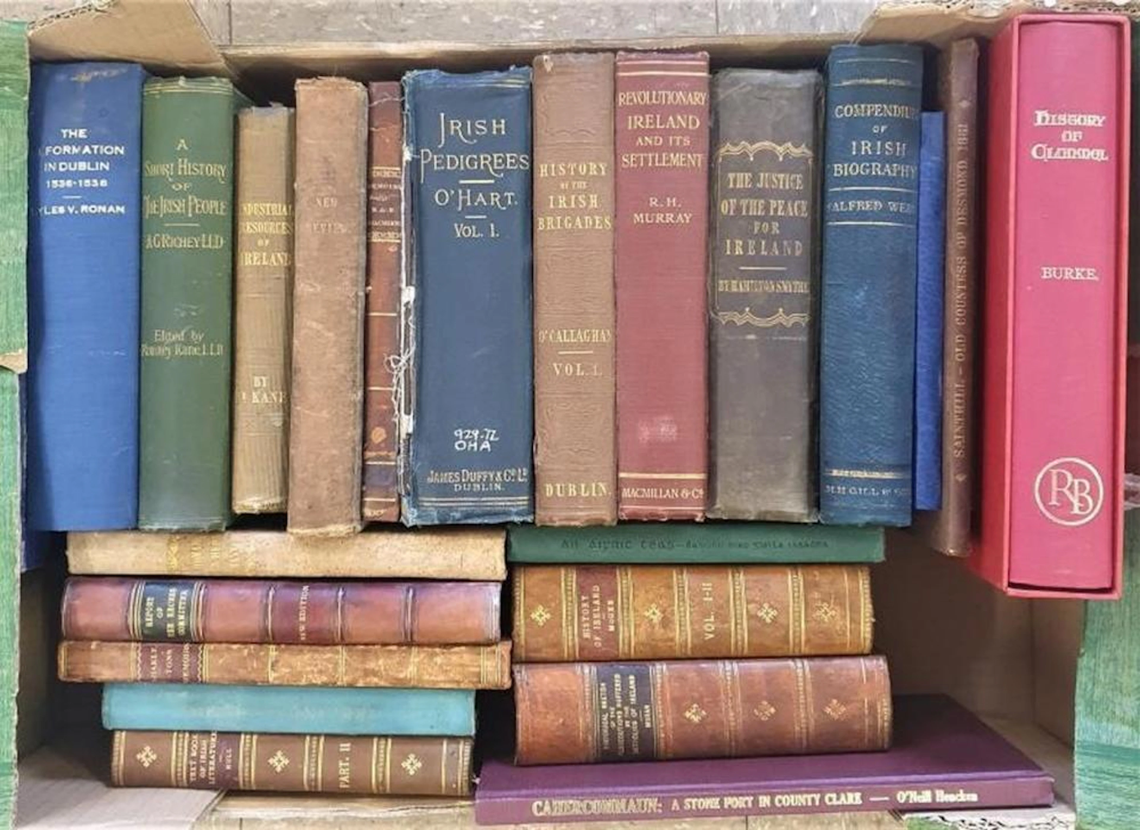 Box of mainly Irish interest Books: History of Ireland by Thomas D'Arcy Mag