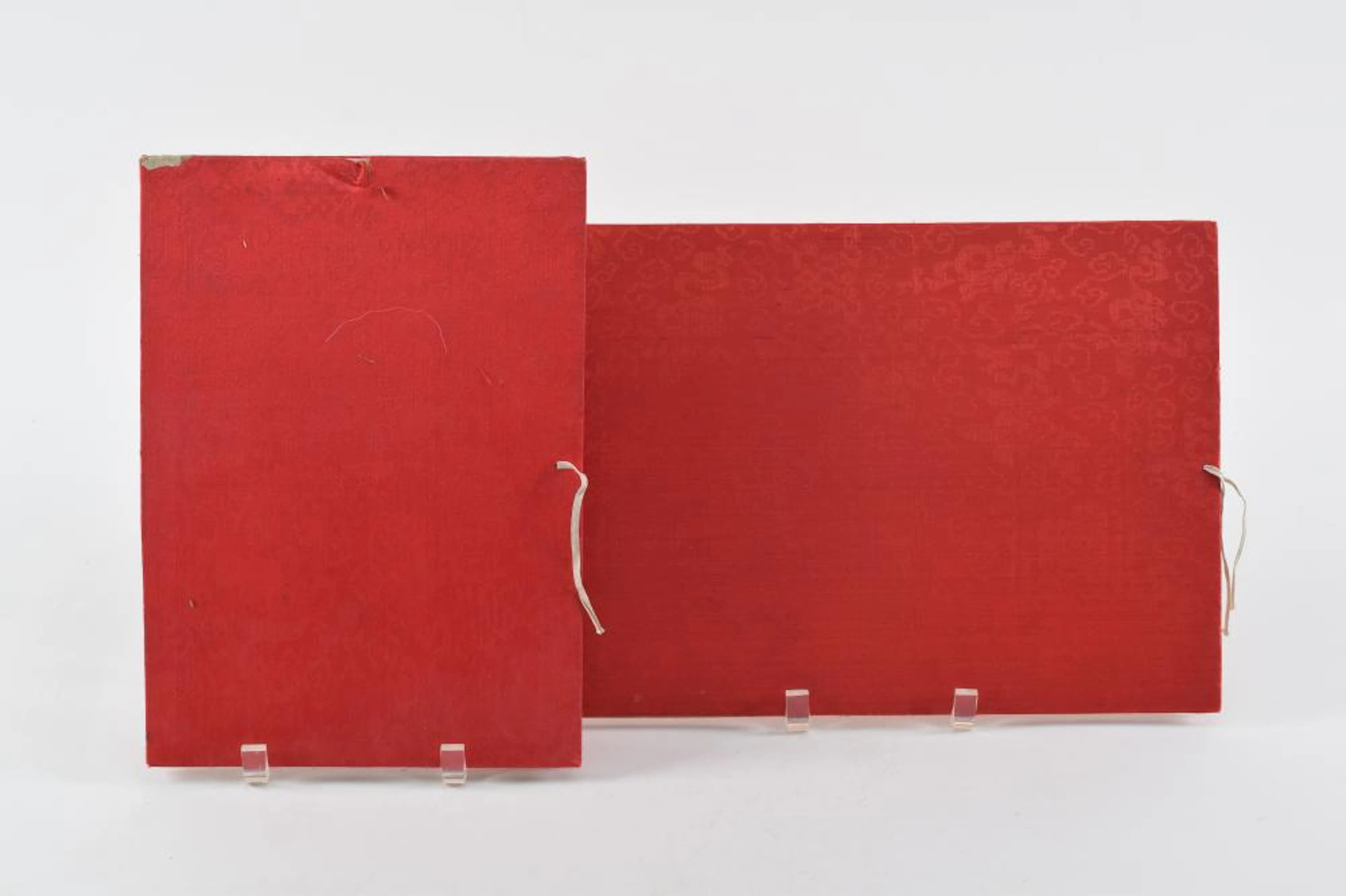 2 albums of pith paintings