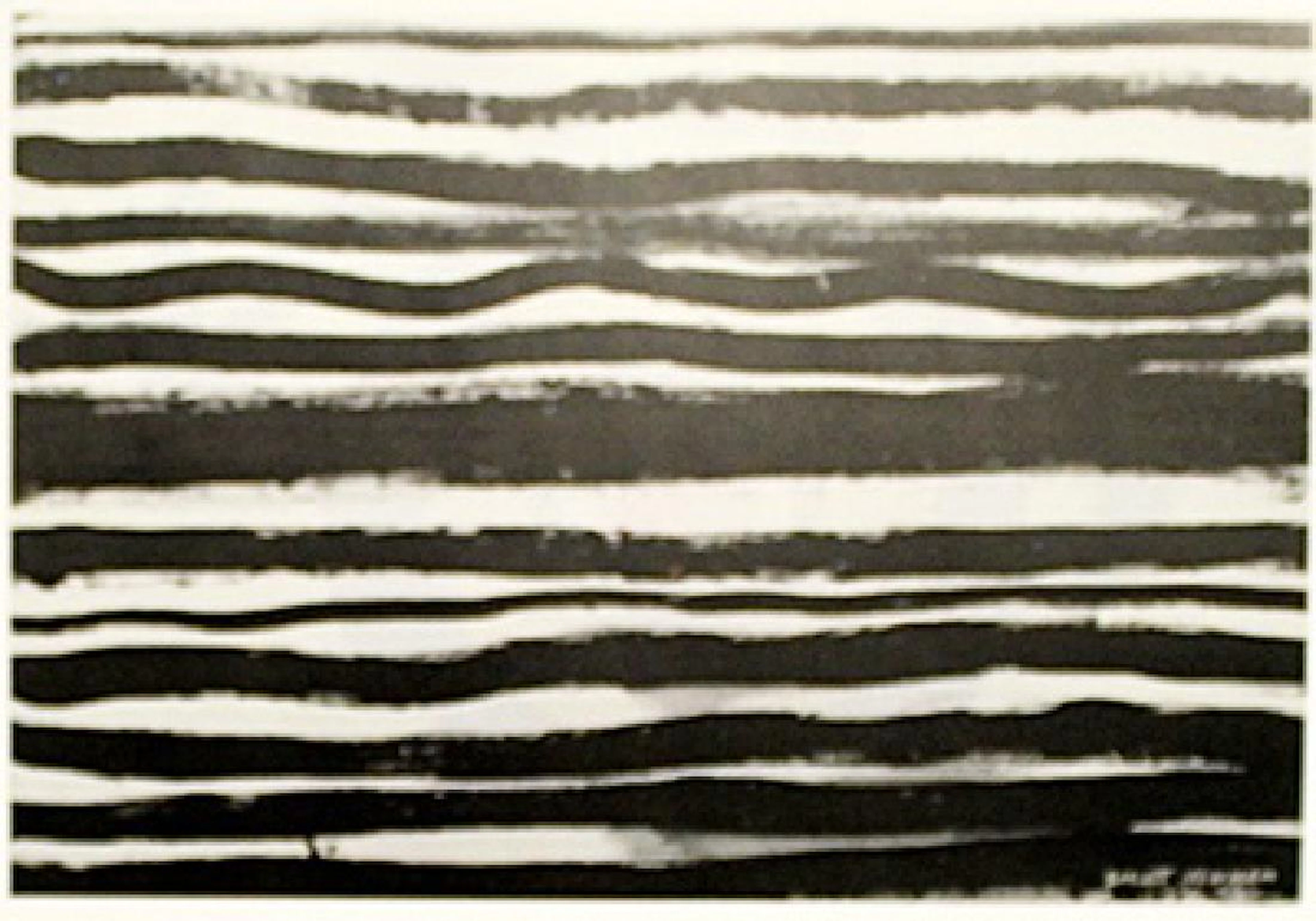 Line - Barnett Newman - Oil On Paper
