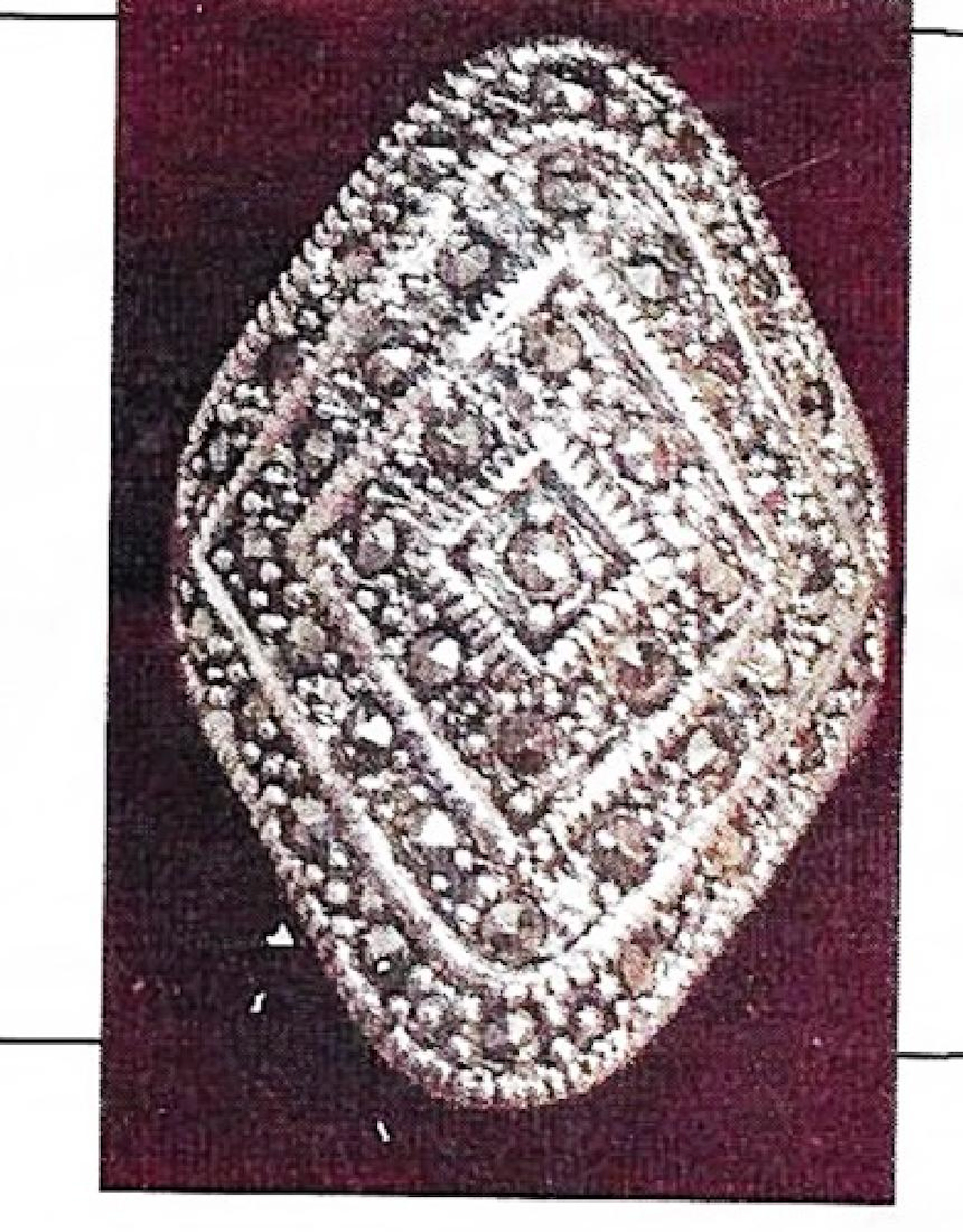 Lady's silver black marcasite ring