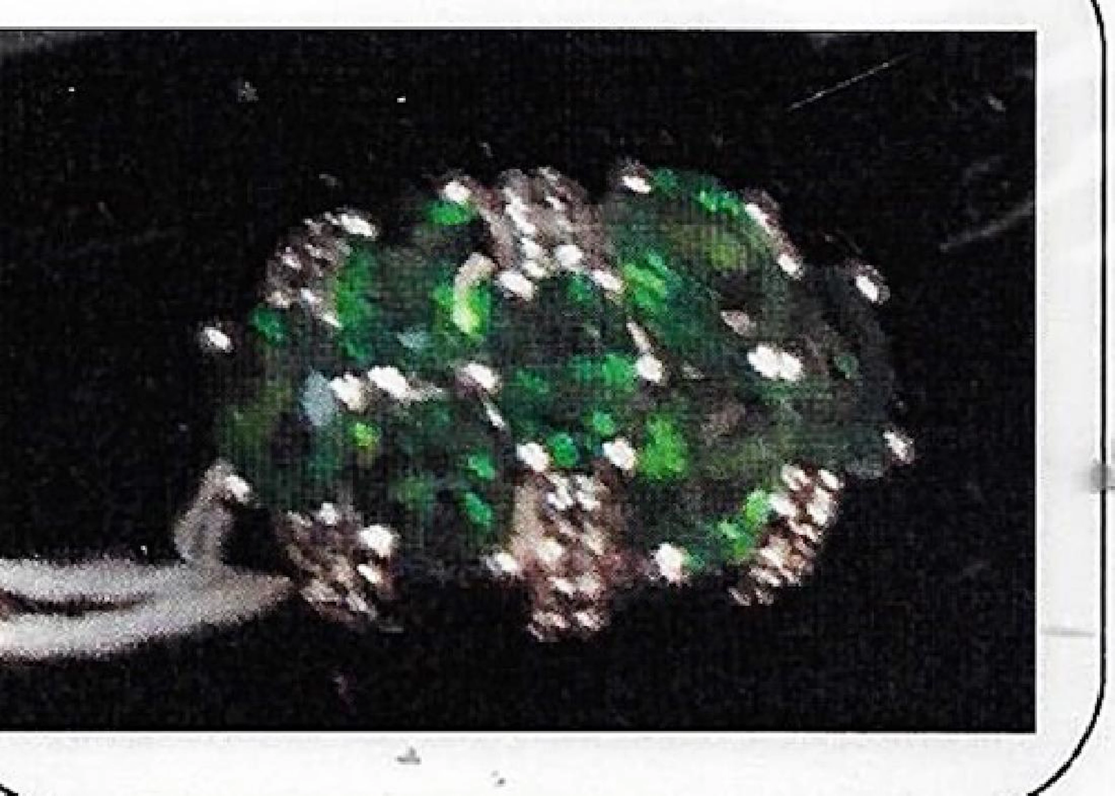 Lady's silver lab emerald ring