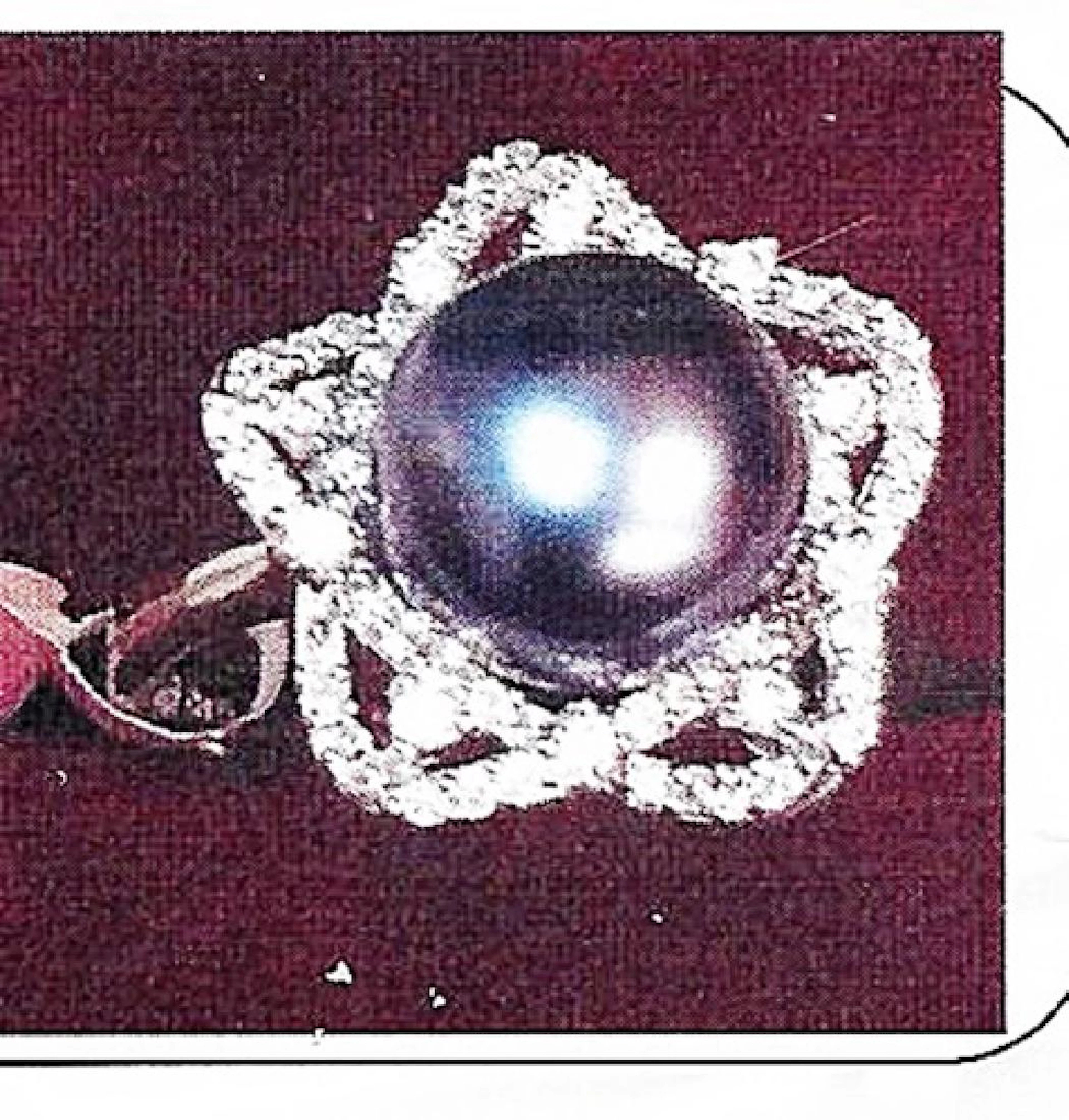 Lady's silver black pearl ring