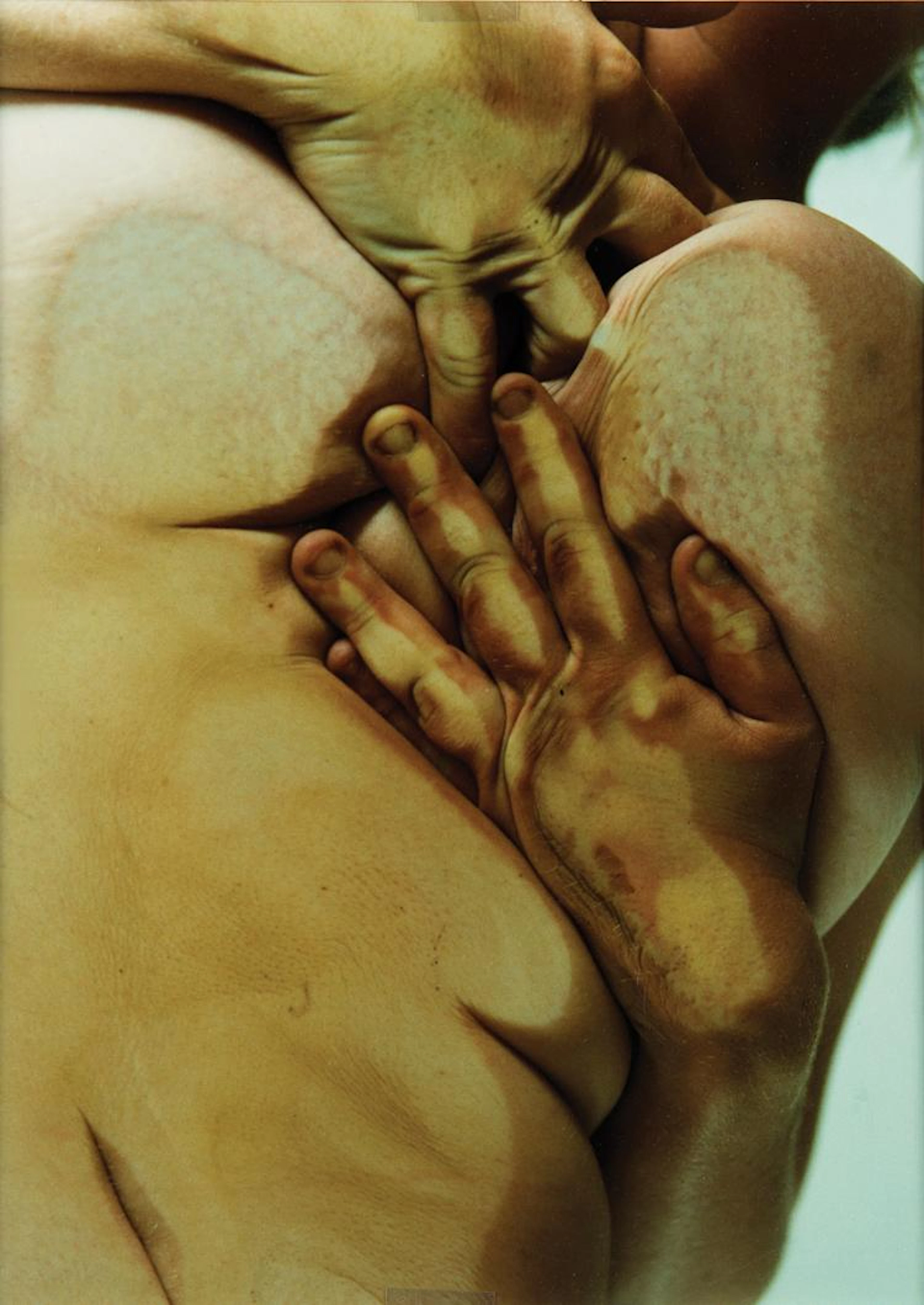 JENNY SAVILLE - Closed contact, 2002