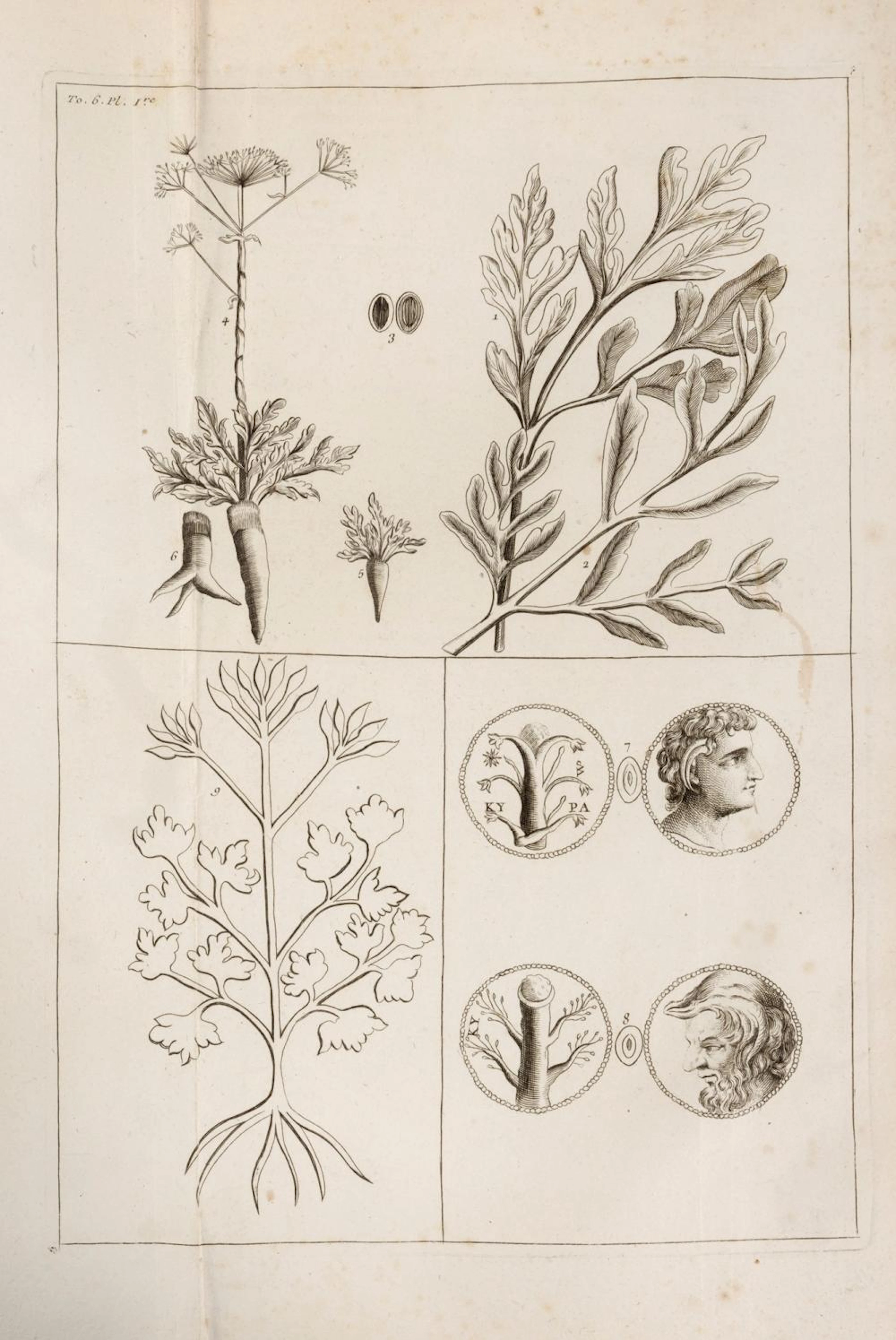 Medicine - Dictionnaire Universel de Médecine