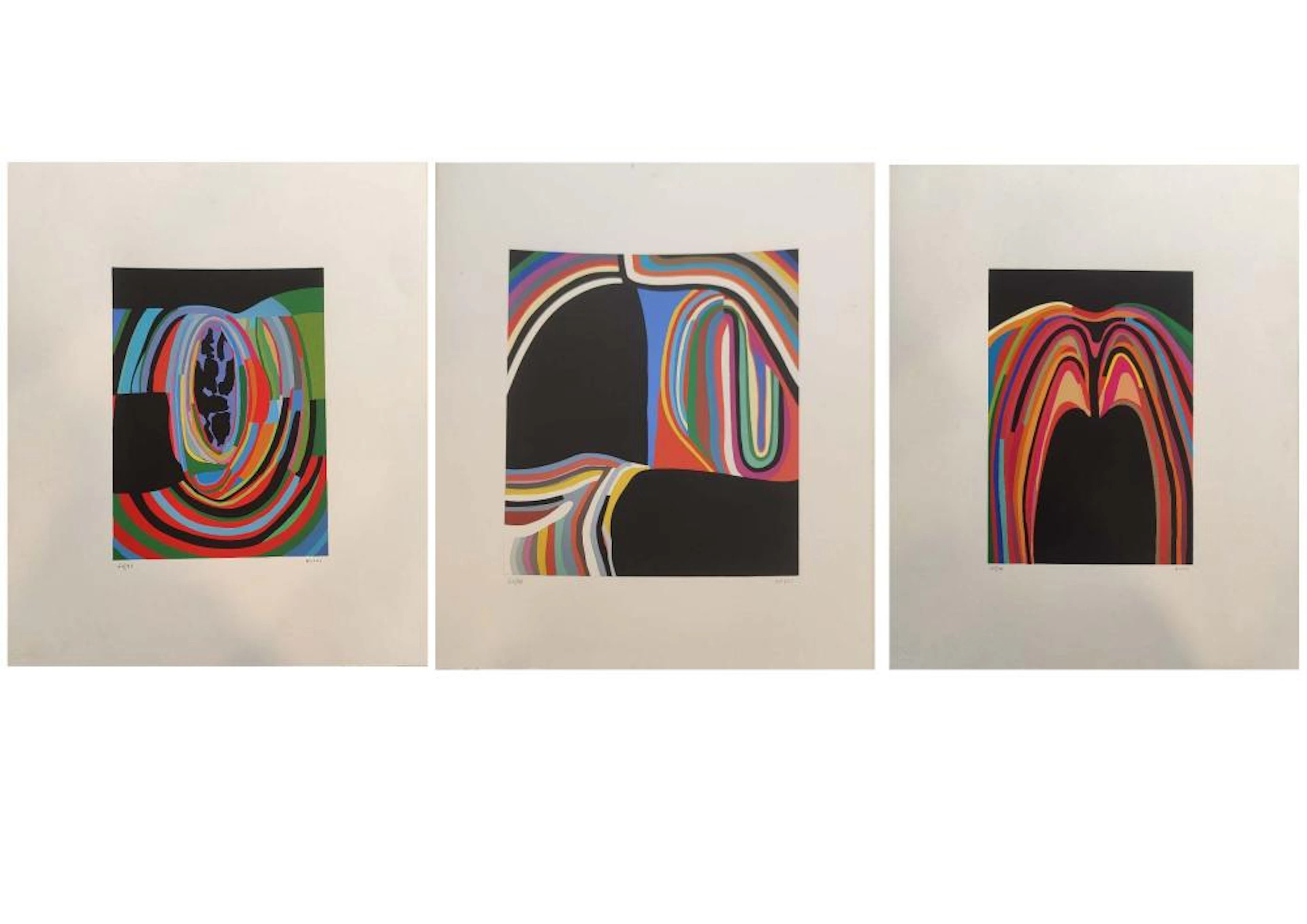 Alberto Burri (Città di Castello 1915-Nizza 1995) - Trittico B, 1973 - '76