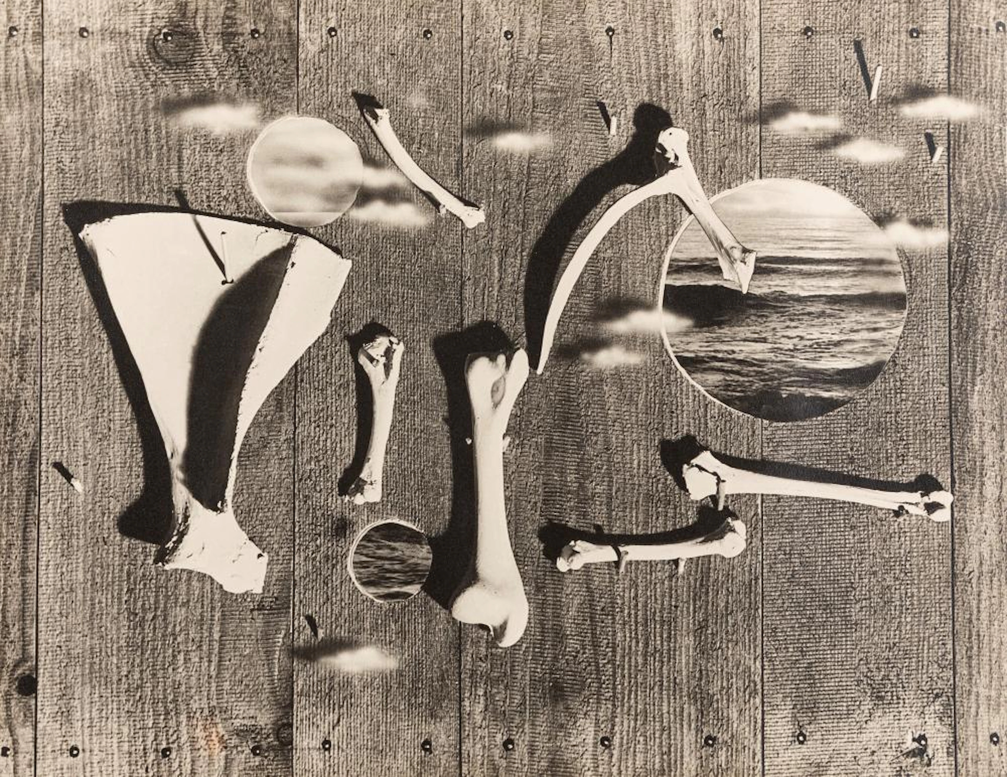 Herbert Bayer (1900-1985) - Untitled (Composition with bones), 1934