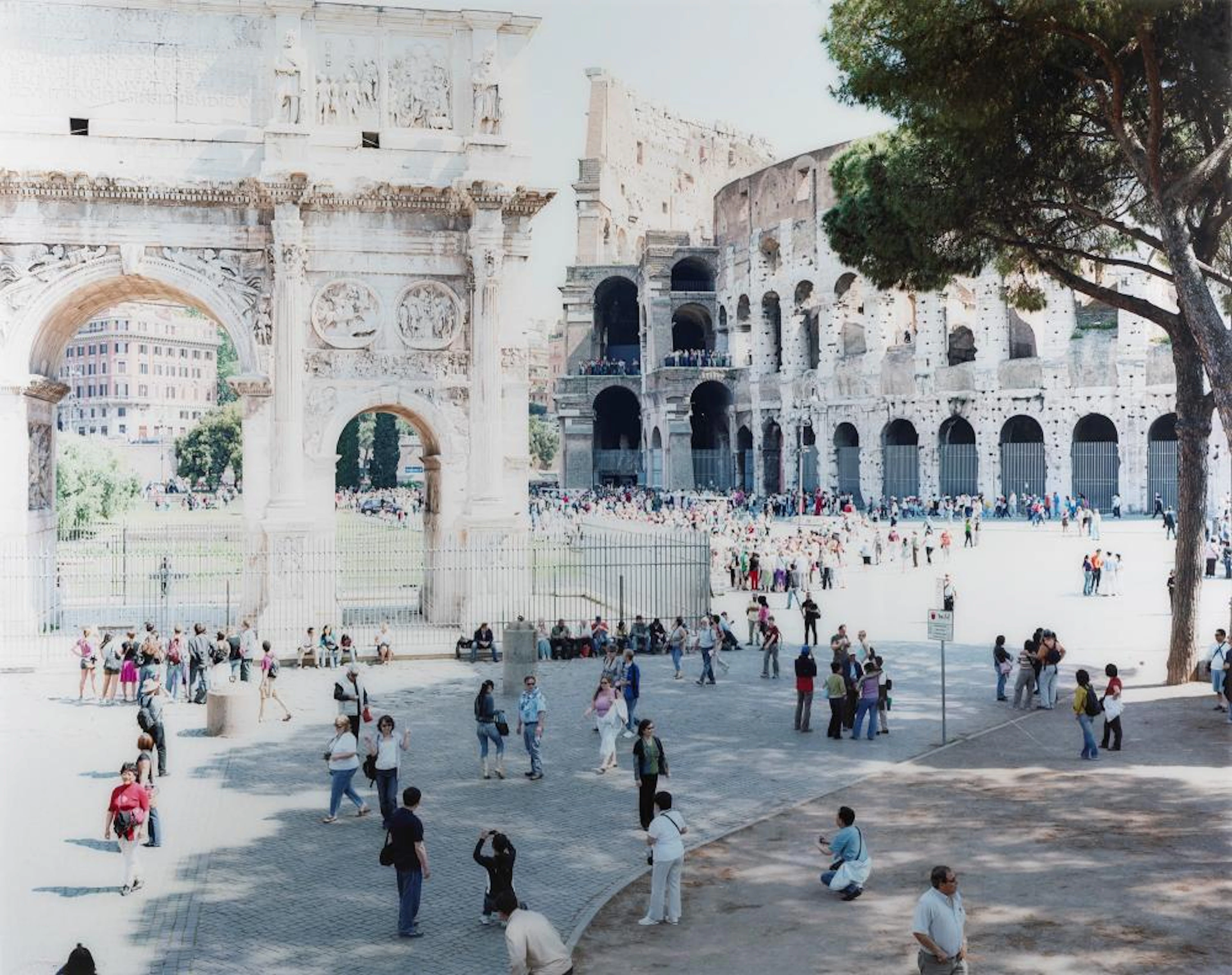 Massimo Vitali (1944) - Titus Arch Pine Tree #3092, 2008