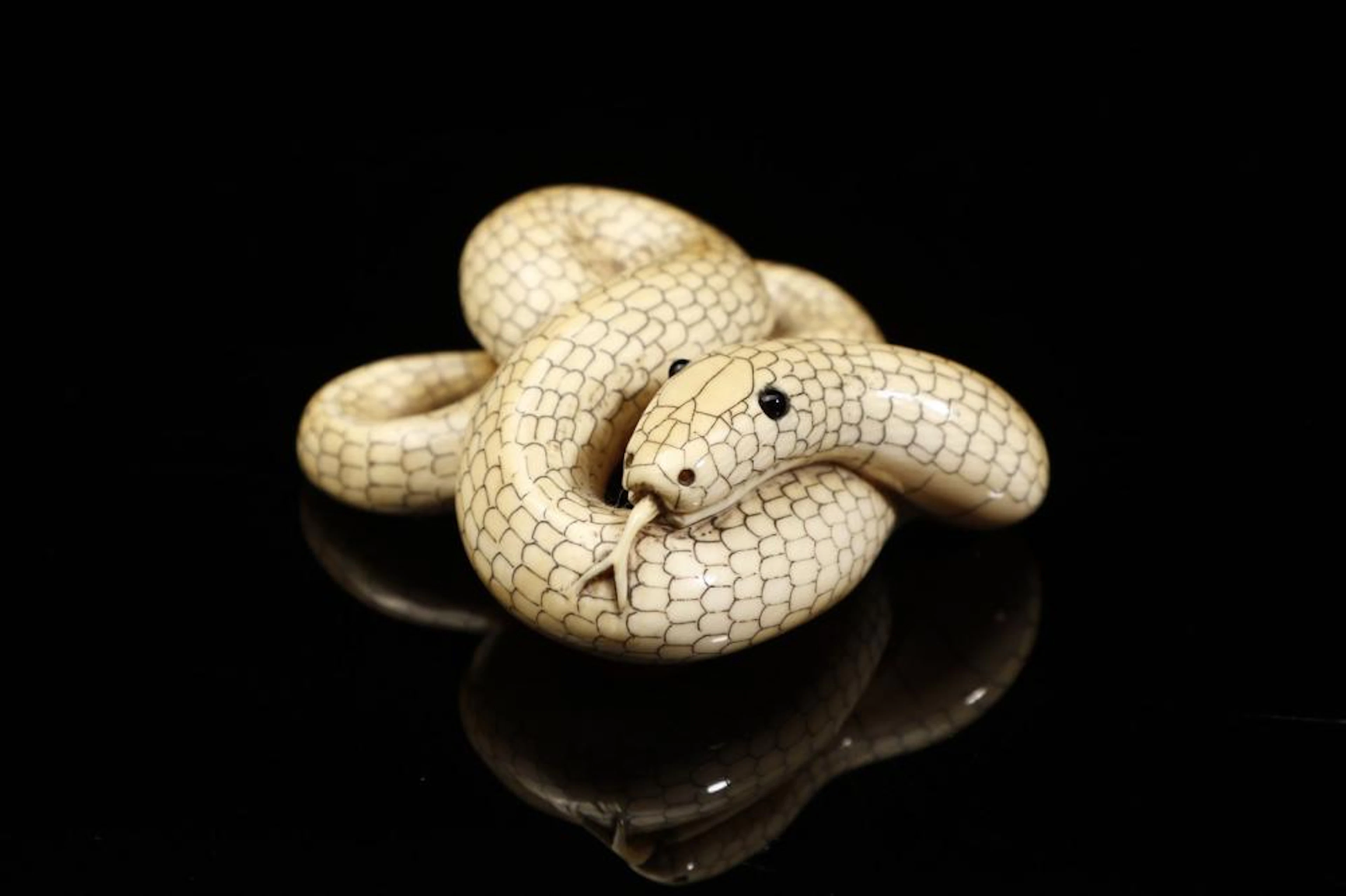 Japanese Art A snake shaped netsuke Japan