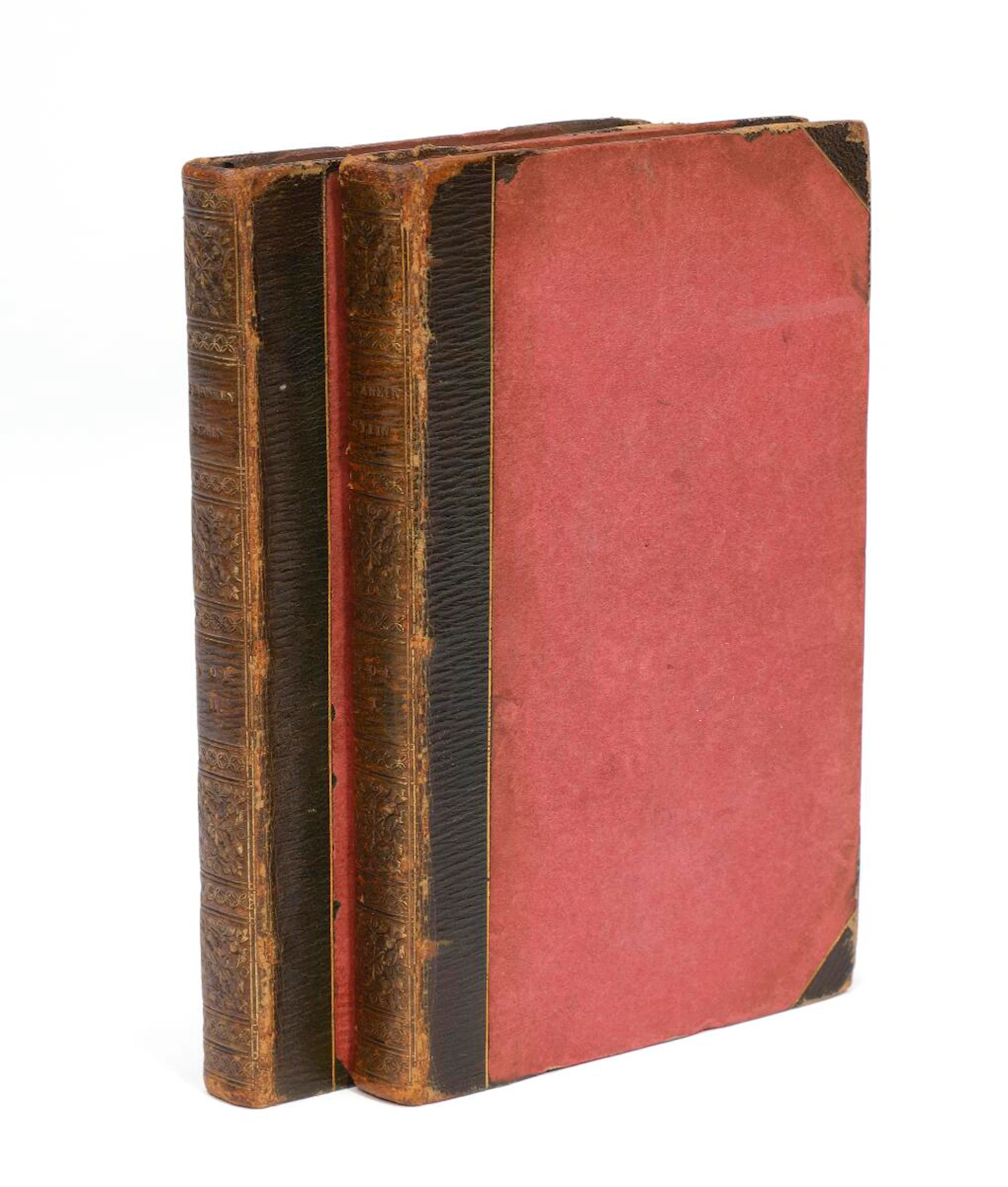 Mary Wollstonecraft Shelley: Frankenstein