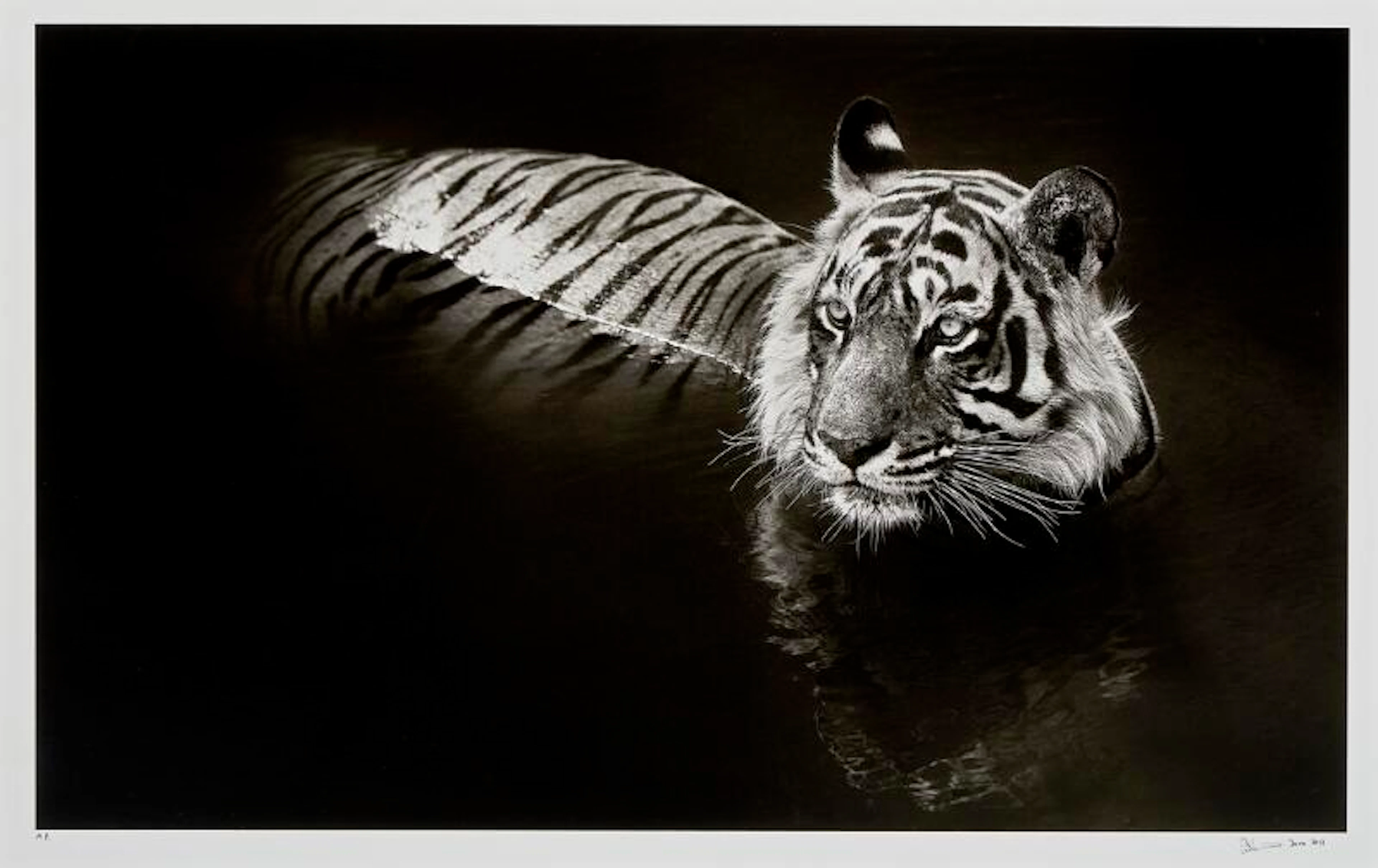 David Yarrow
