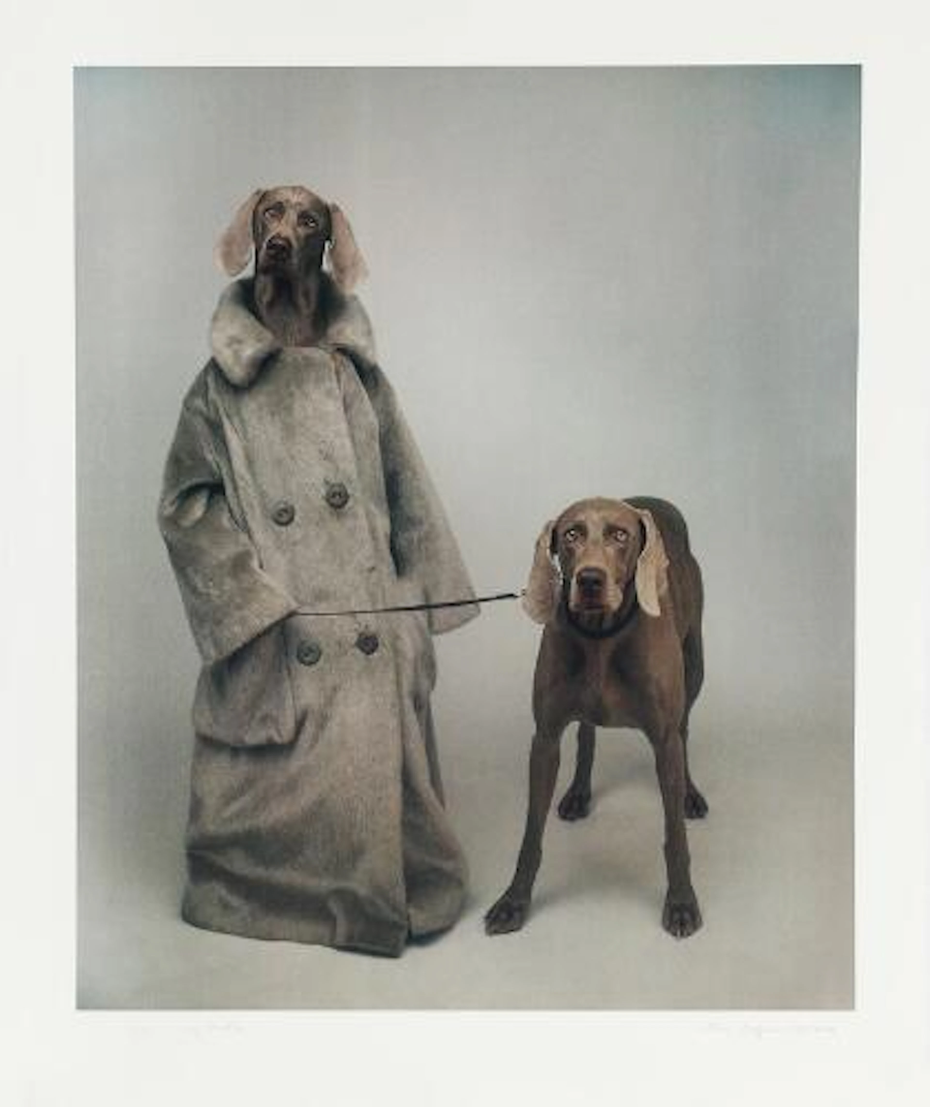 William Wegman