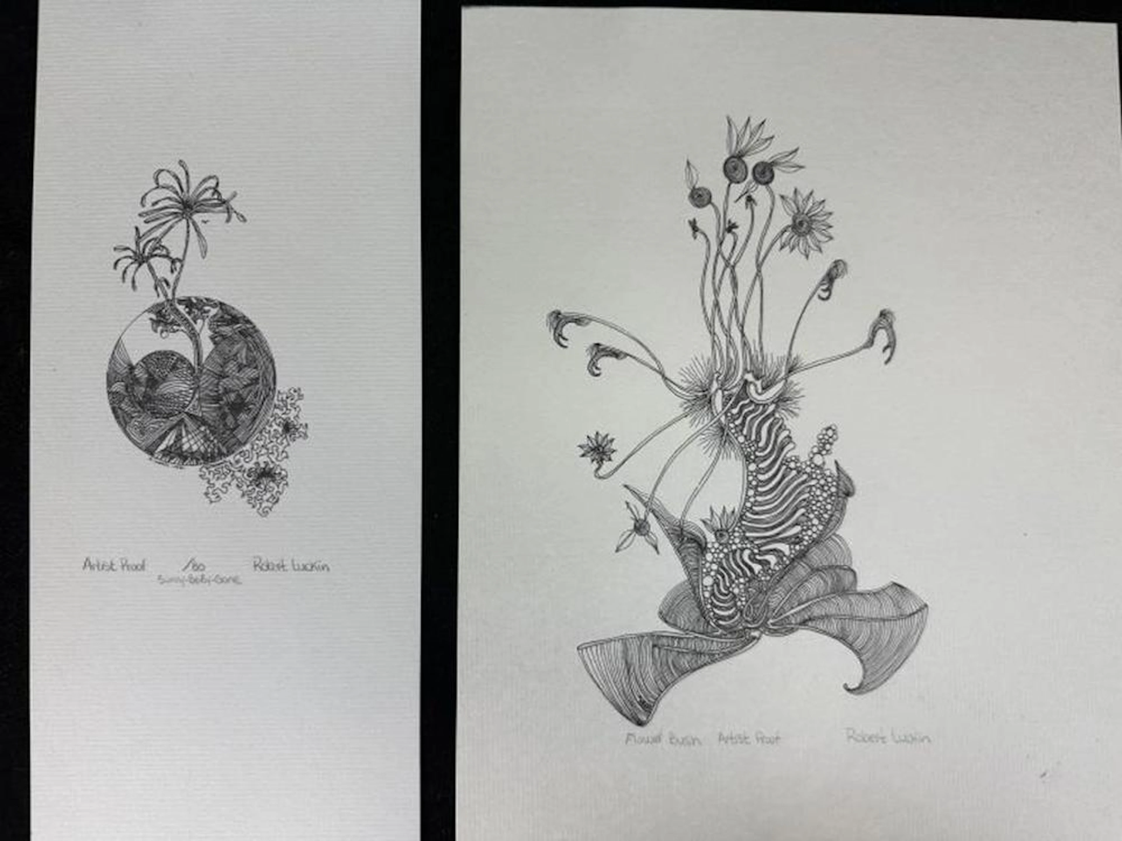 2 Artist'sProofs R. Luckin OtherWorldly Botanical