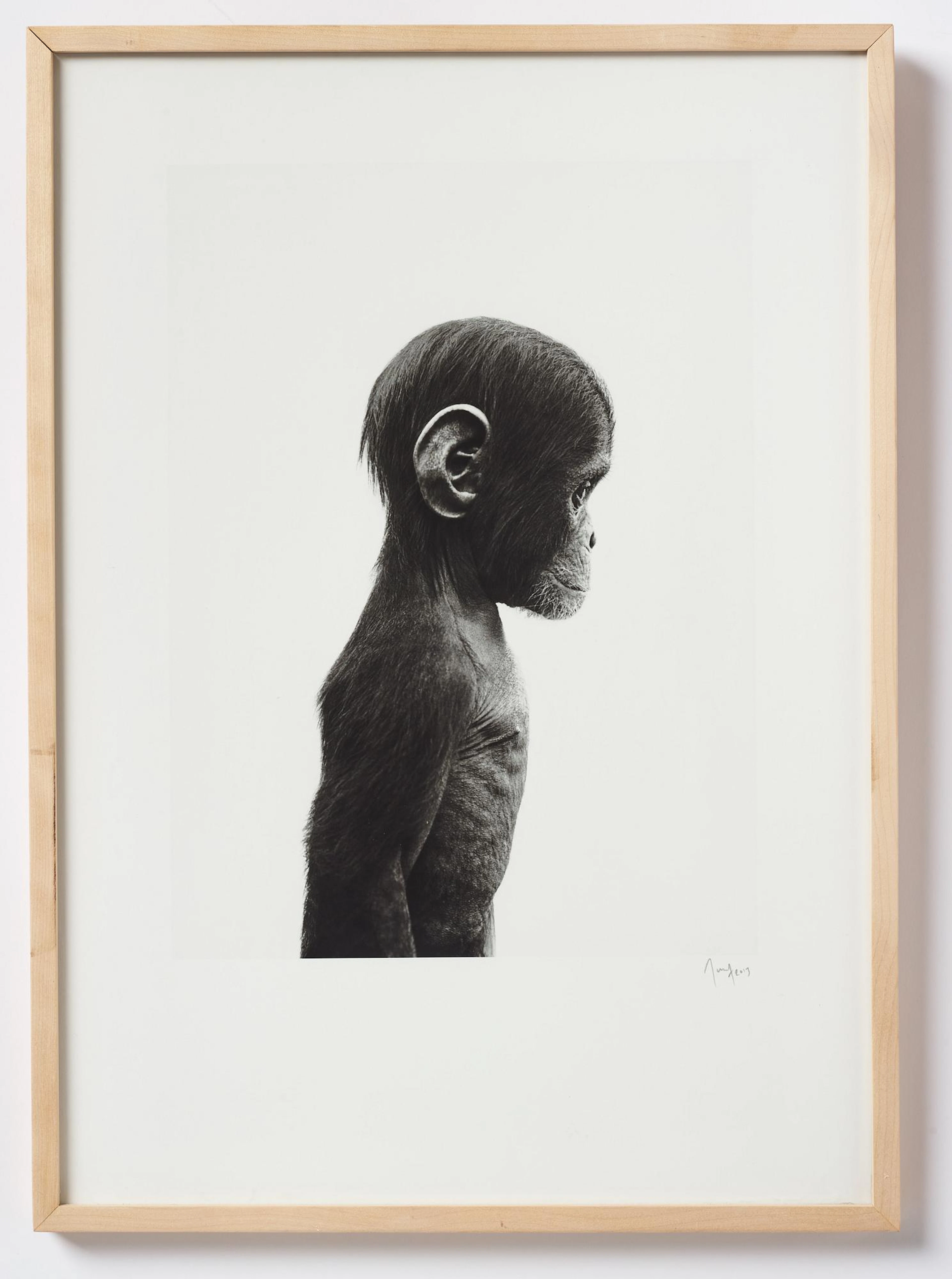 Double Elvis Edition Portfolio, 2012