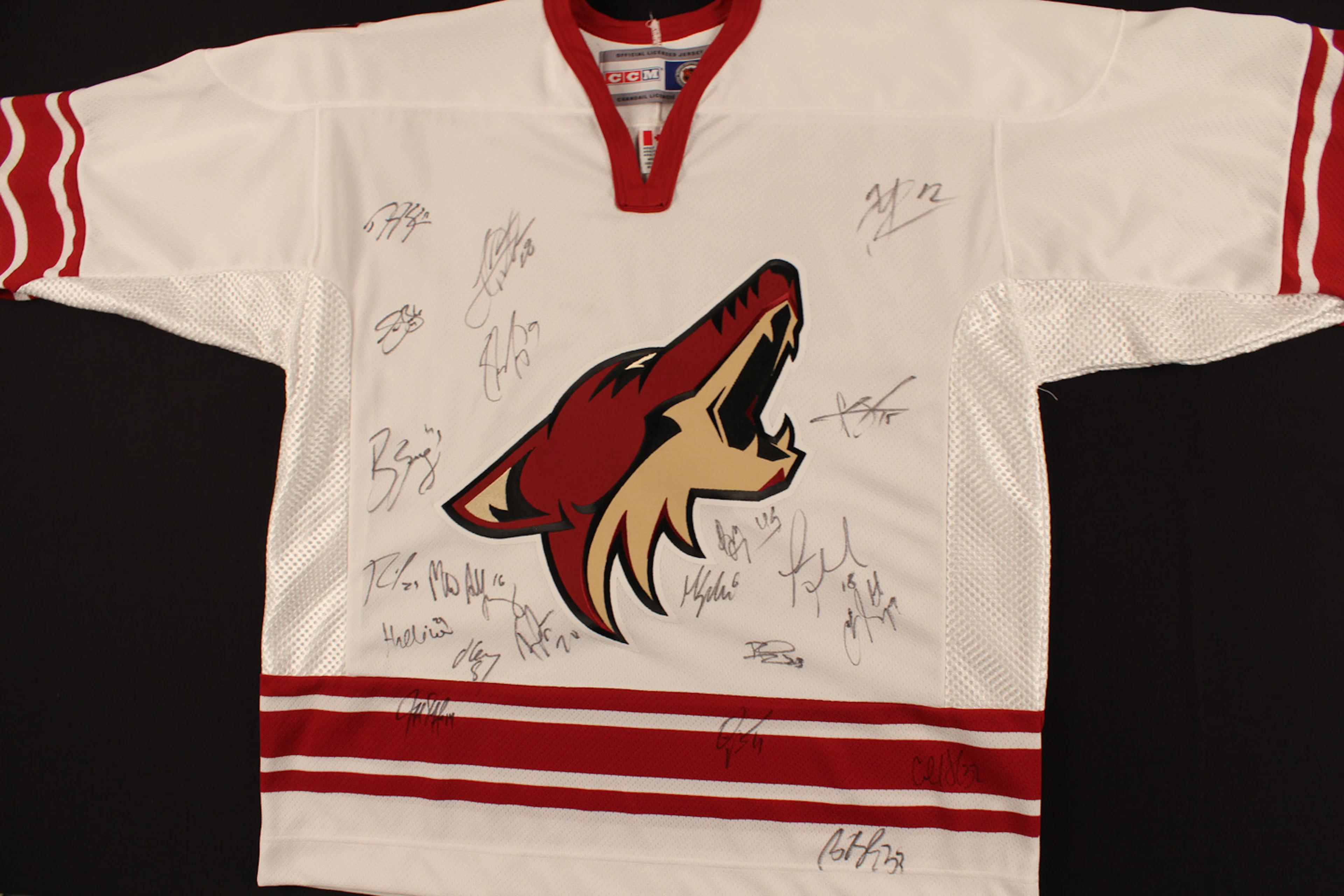 2003-04 Phoenix Coyotes Team Signed Jersey