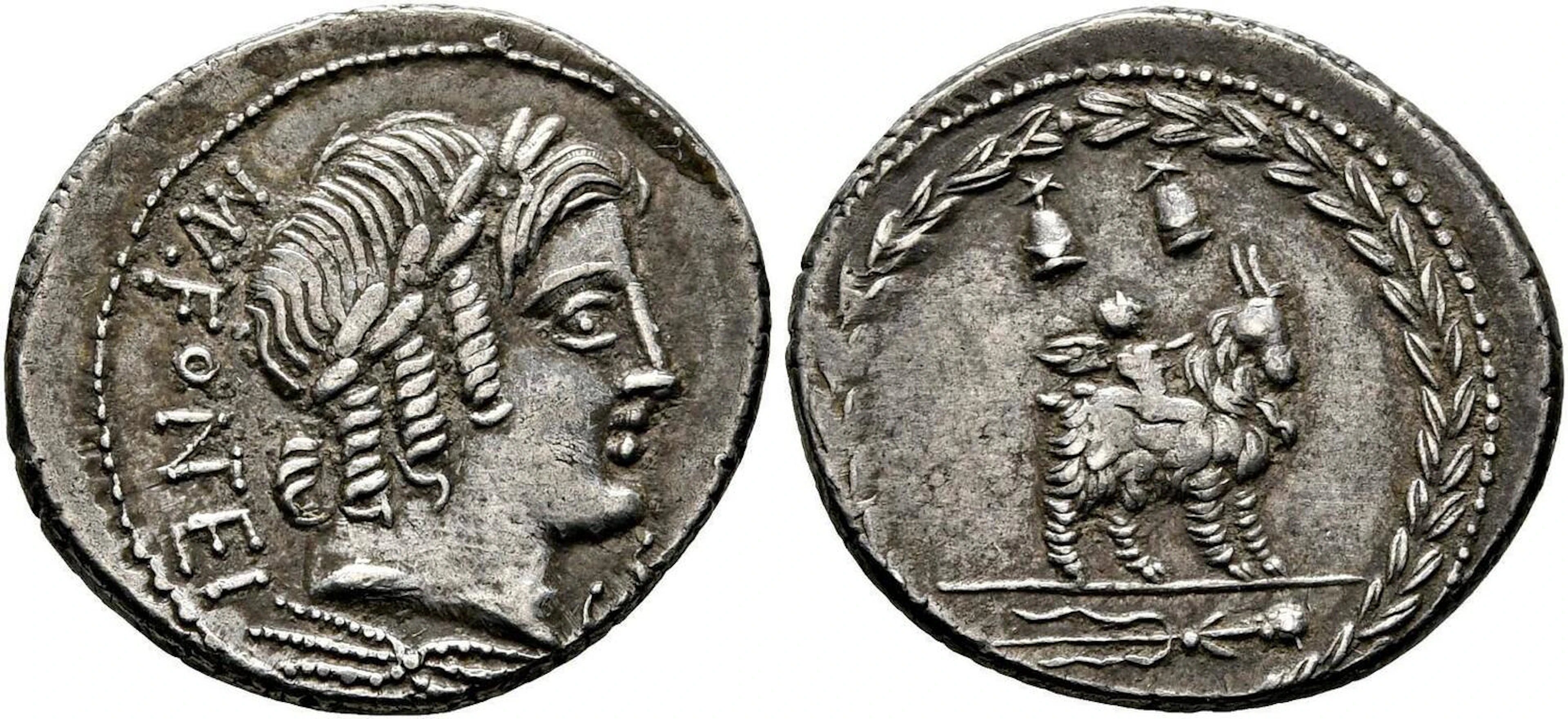 Mn. Fonteius C.f.