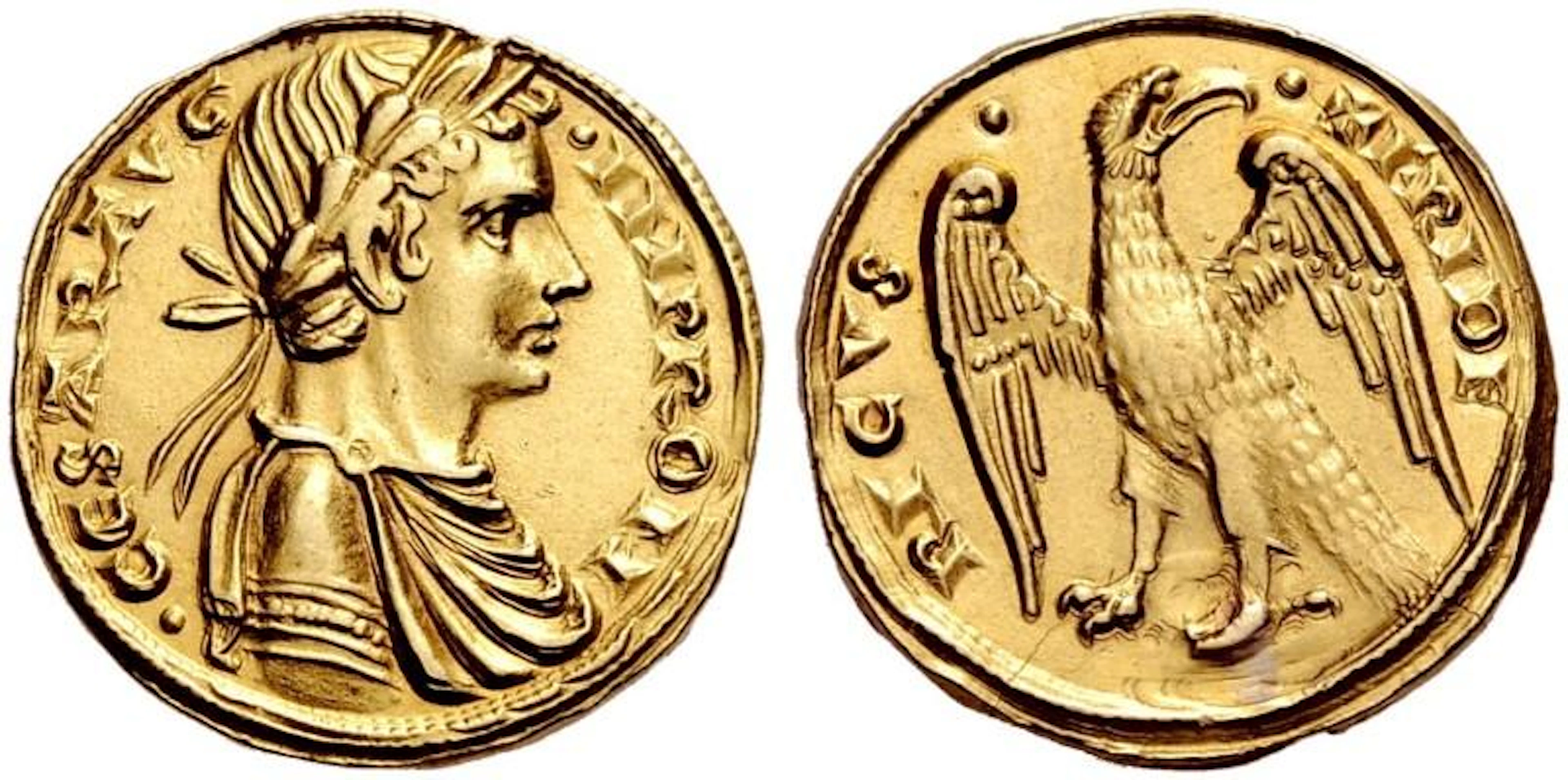 Collezione di monete medievali e rinascimentali...