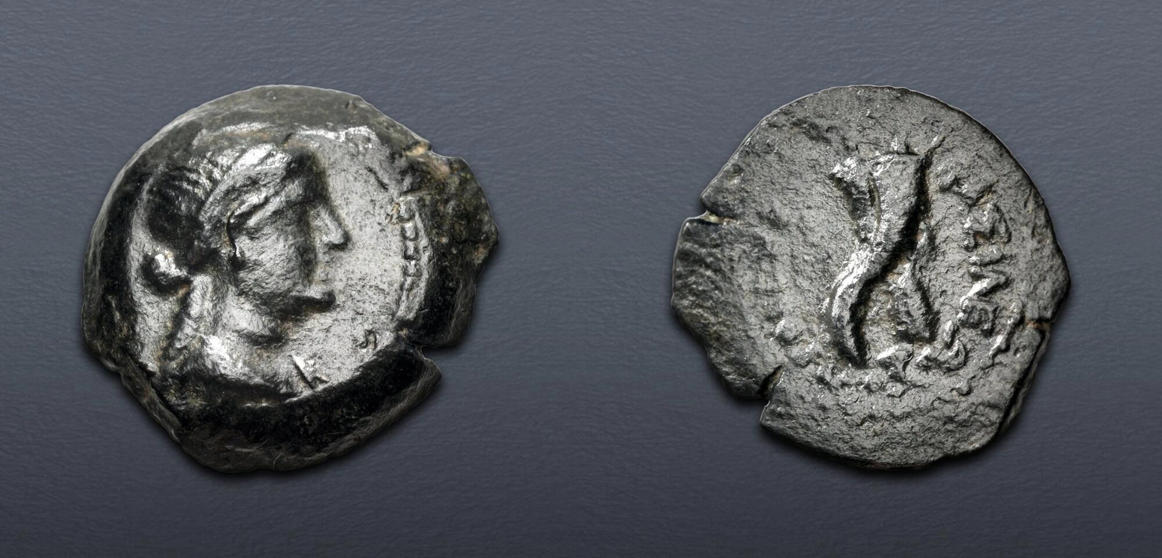 PTOLEMAIC KINGS of EGYPT. temp. Ptolemy VIII – Kleopatra VII.