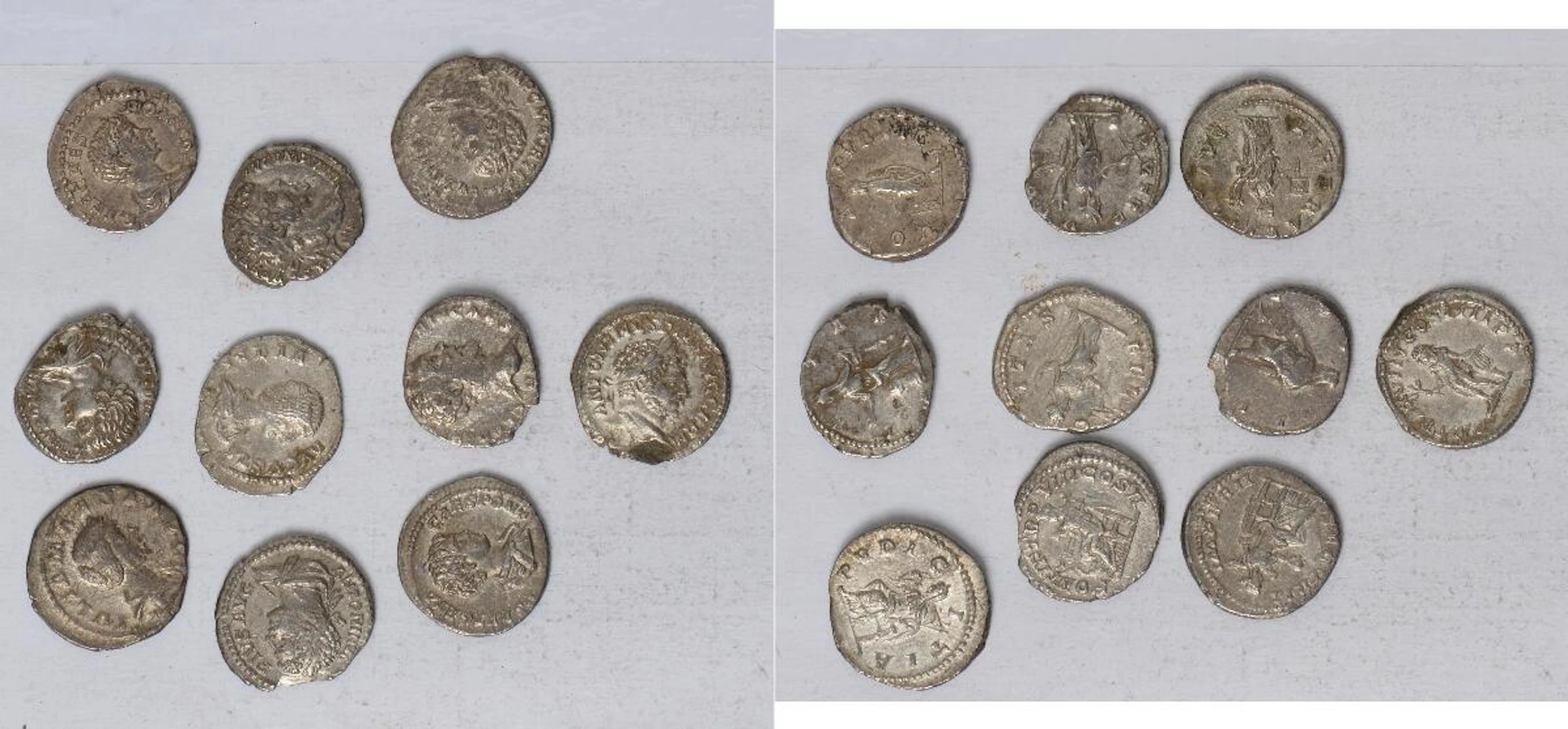 Roman denarii (10): Julia Domna (S.6581); Julia Maesa (RIC