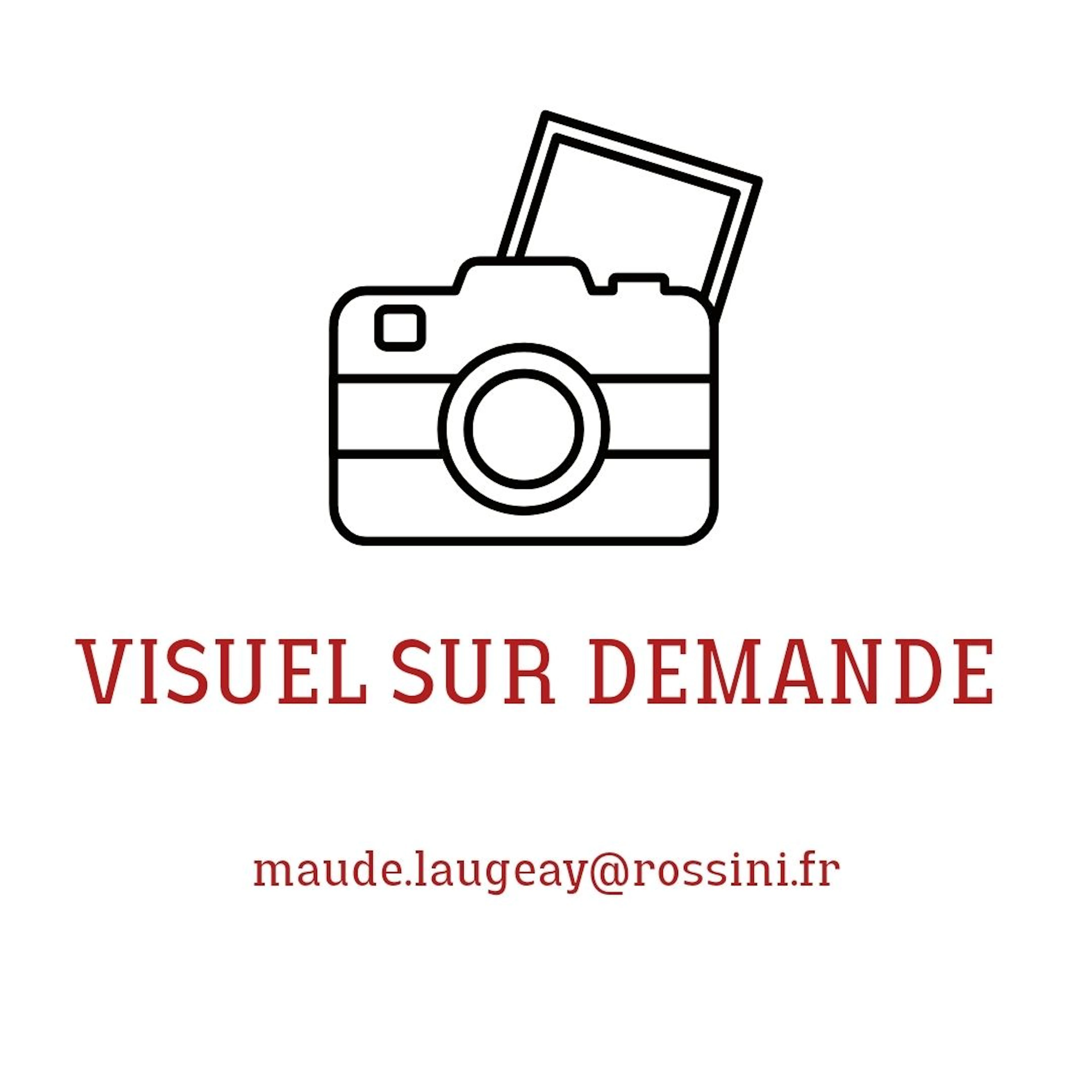 PHOTOGRAPHE NON IDENTIFIE Série de portraits... - Lot 177 - Rossini