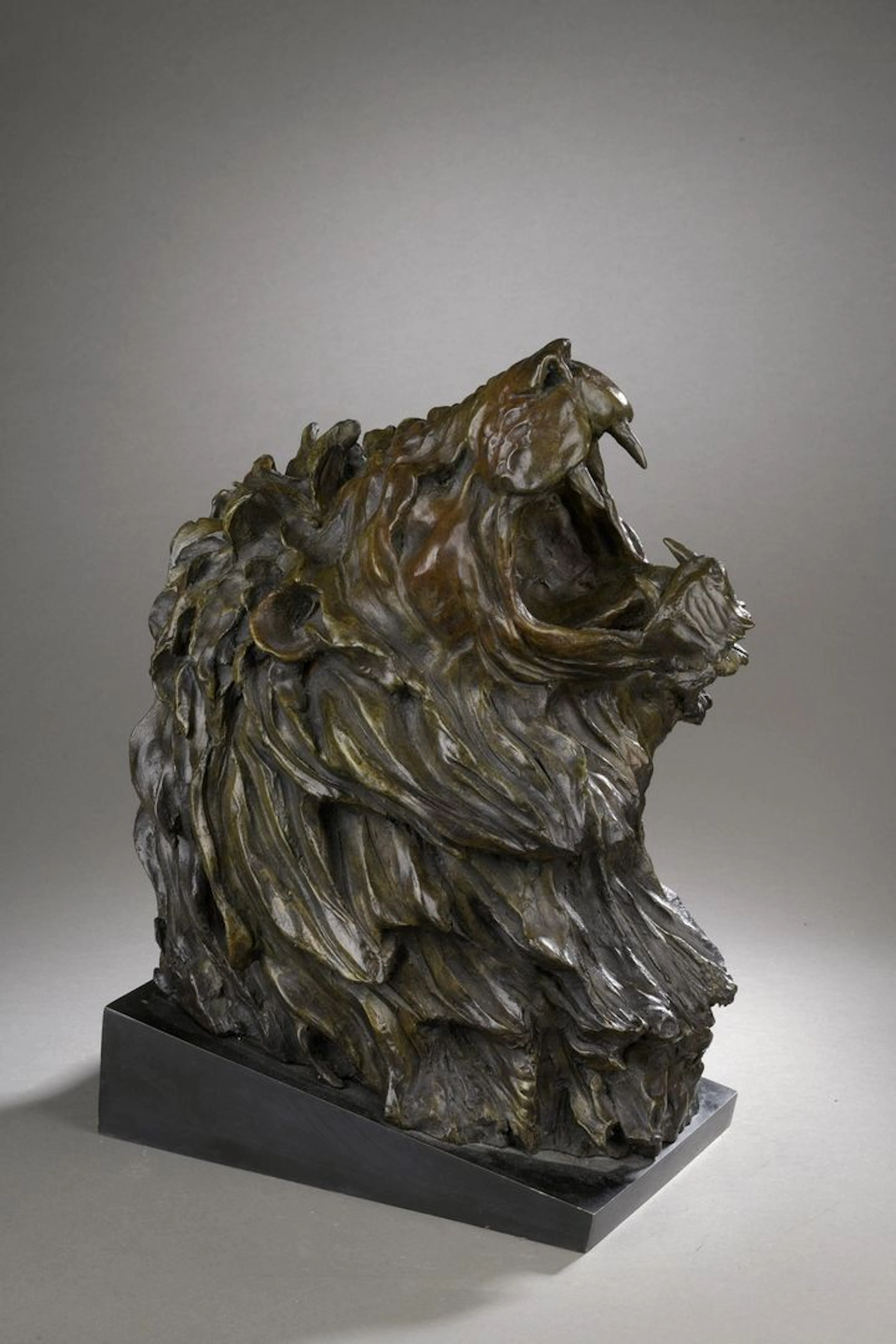 DAVID José Maria, 1944-2015 Tête de lion... - Lot 194 - Rossini