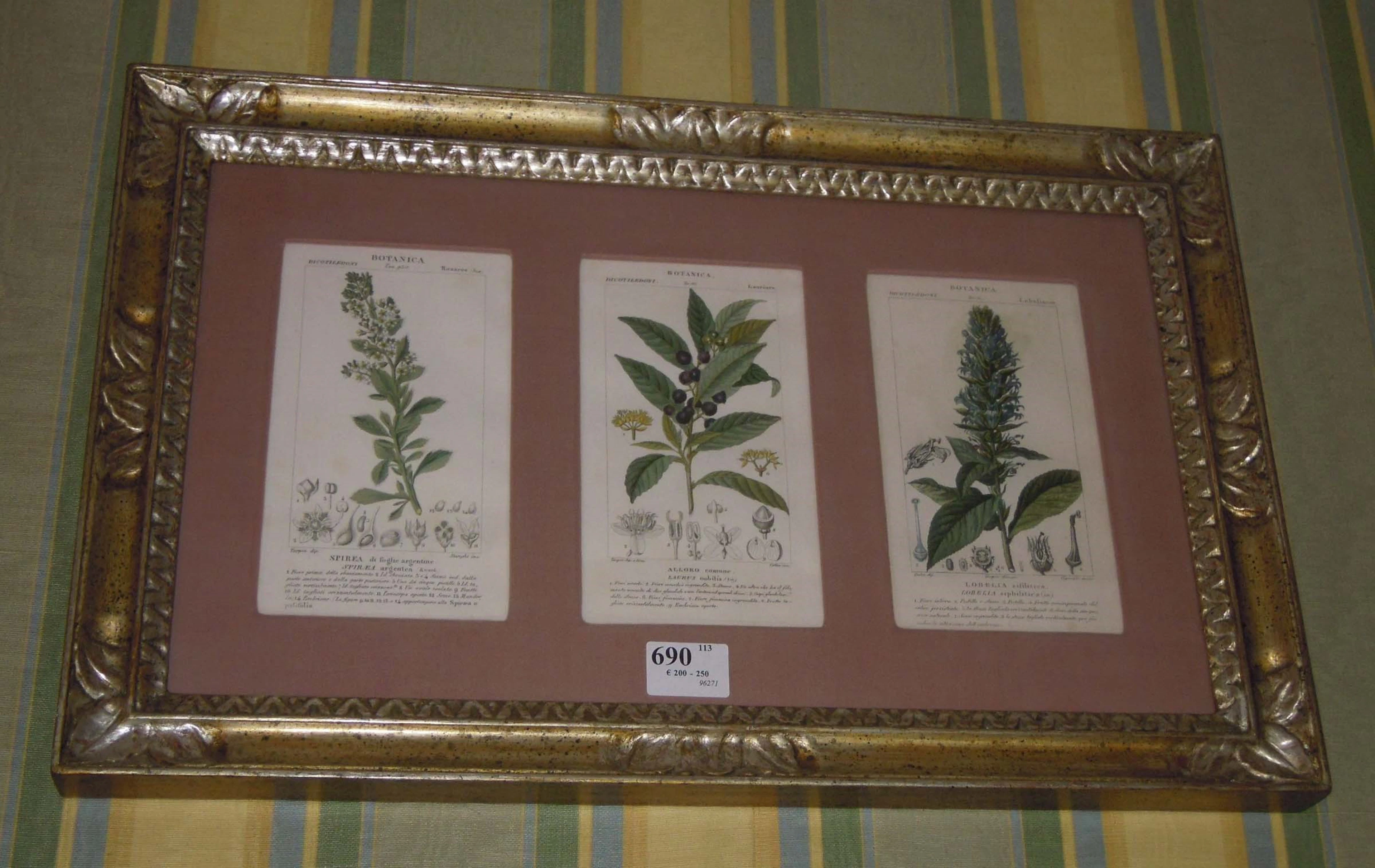 Stampe colorate a soggetto botanico, da disegno di P.G.F. Turpin, 1820 circa