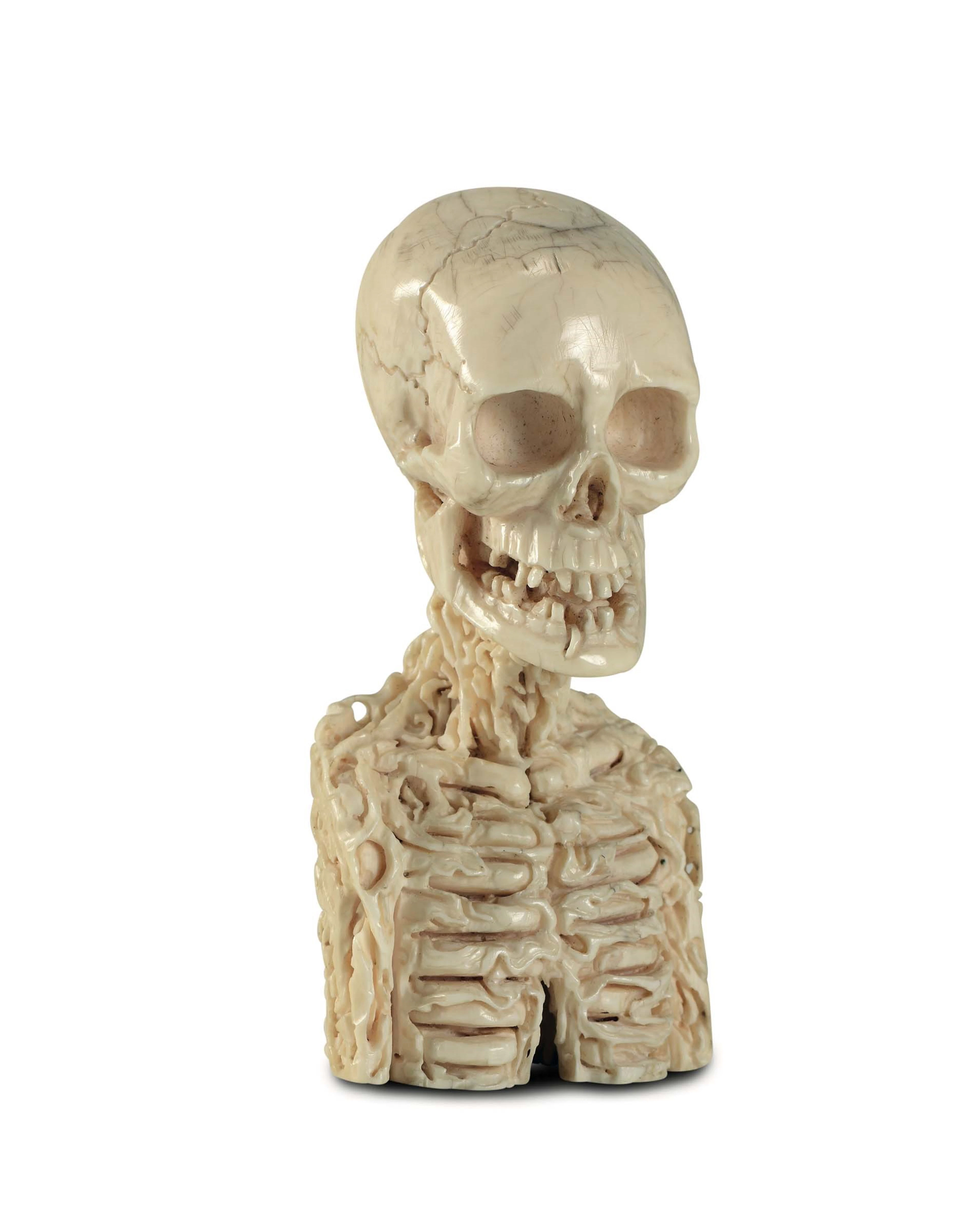 A memento mori in ivory, carved as a skeleton bust being eaten by