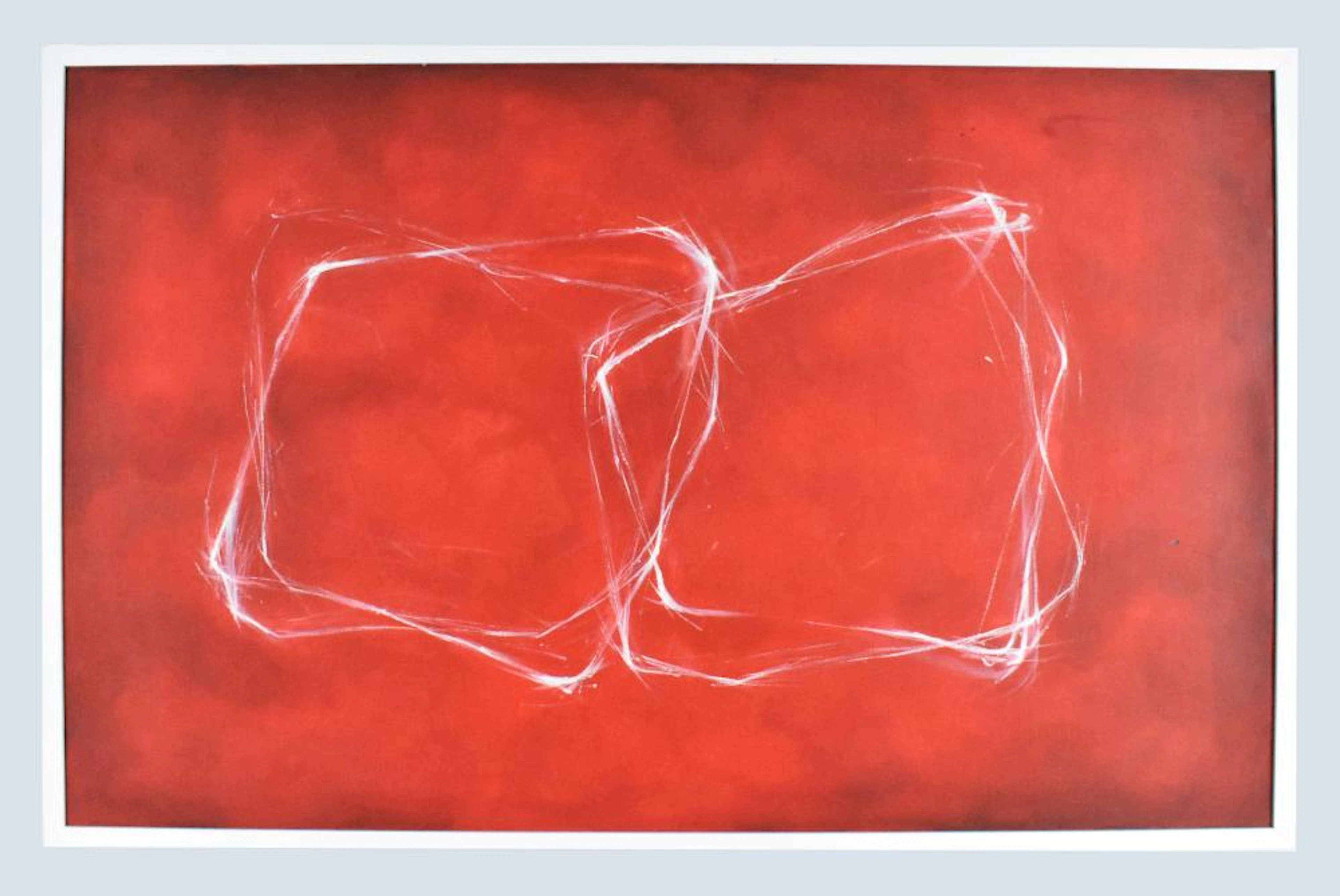 Cleve Gray (American