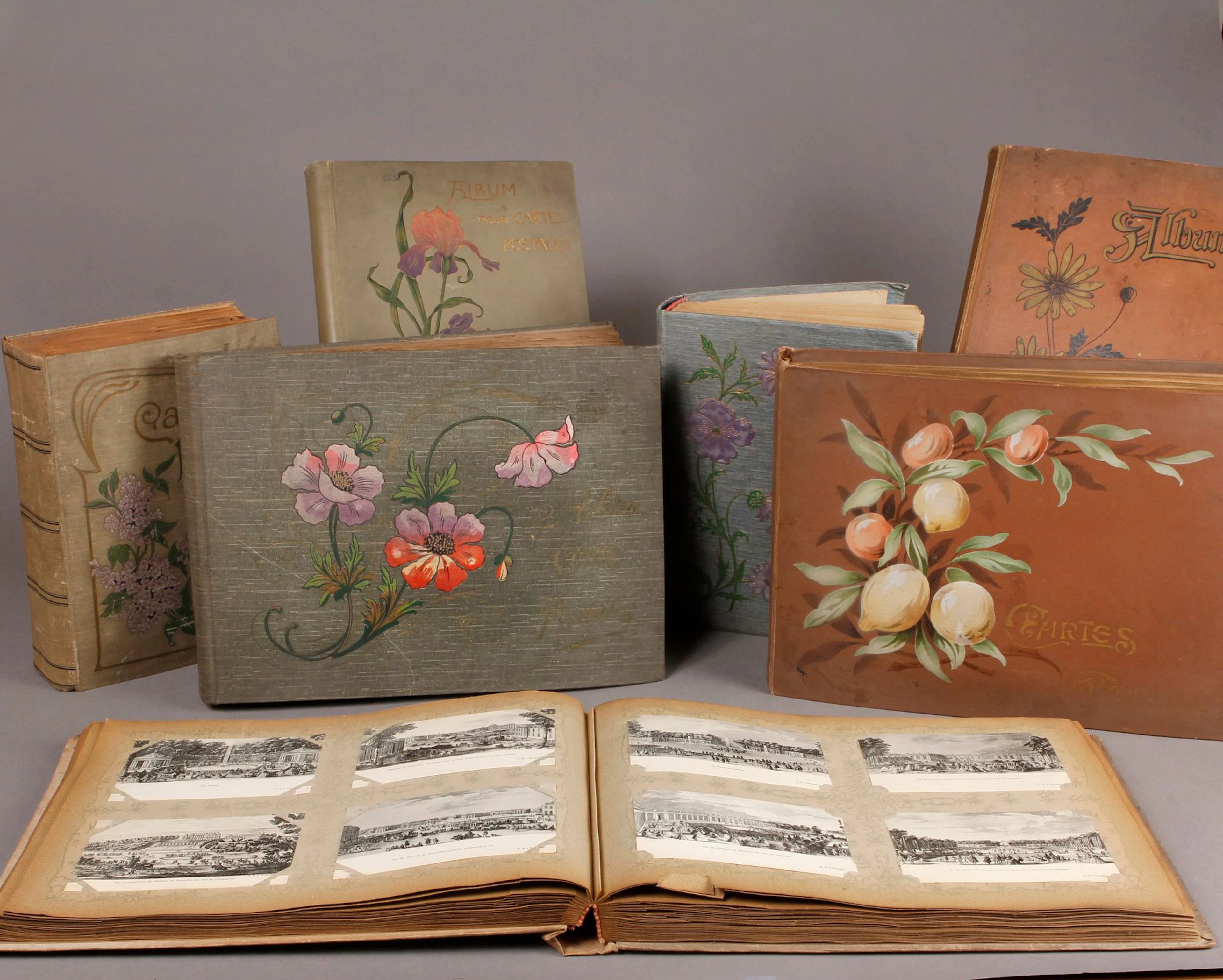 Lot de SIX GRANDS ALBUMS (incomplets) de... - Lot 169 - Brissonneau